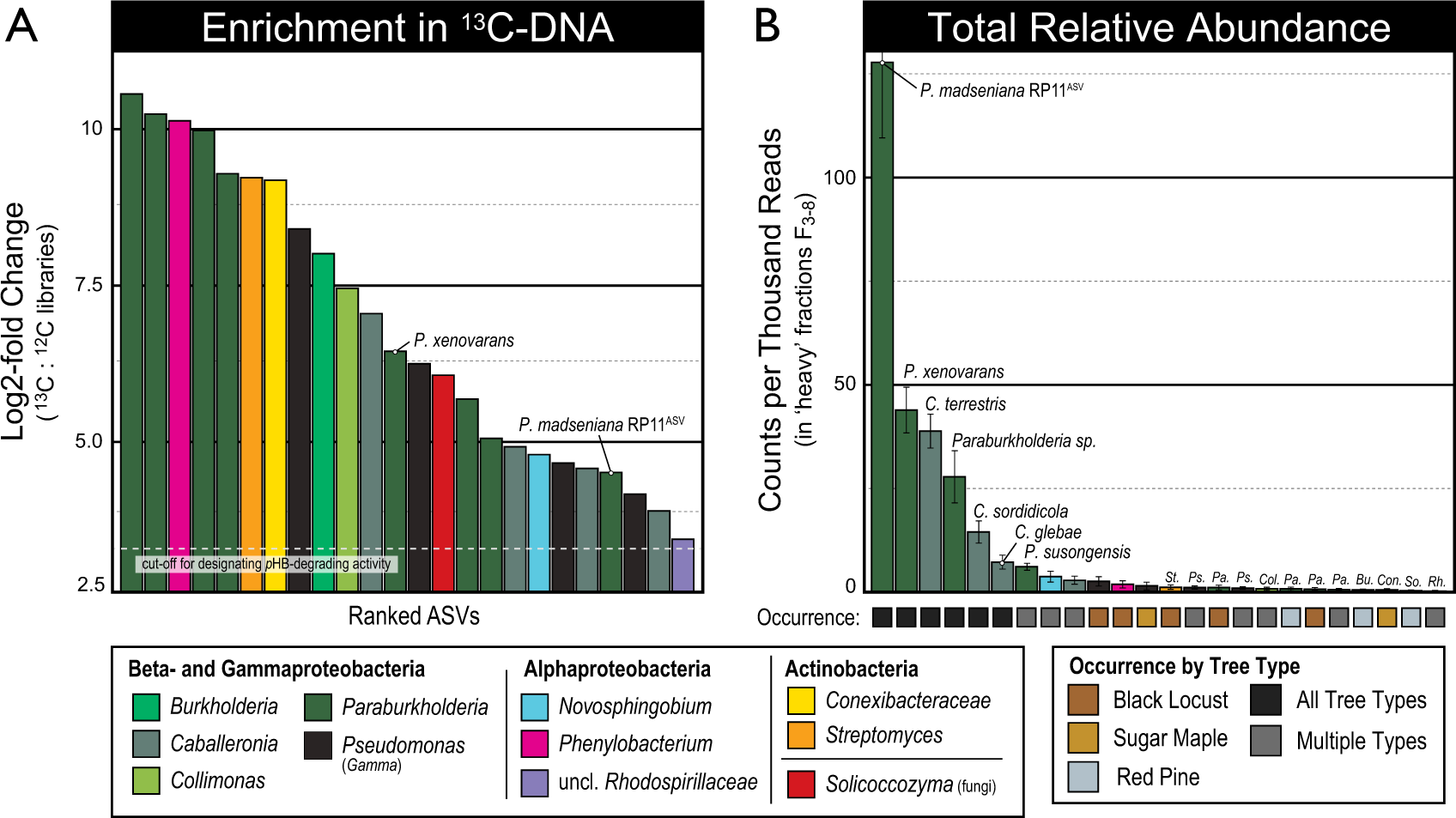 Fig. 5: Paraburkholderia phylotypes were highly abundant in 13C-DNA recovered from DNA-SIP experiments in which 13C-pHB was added to field soils.