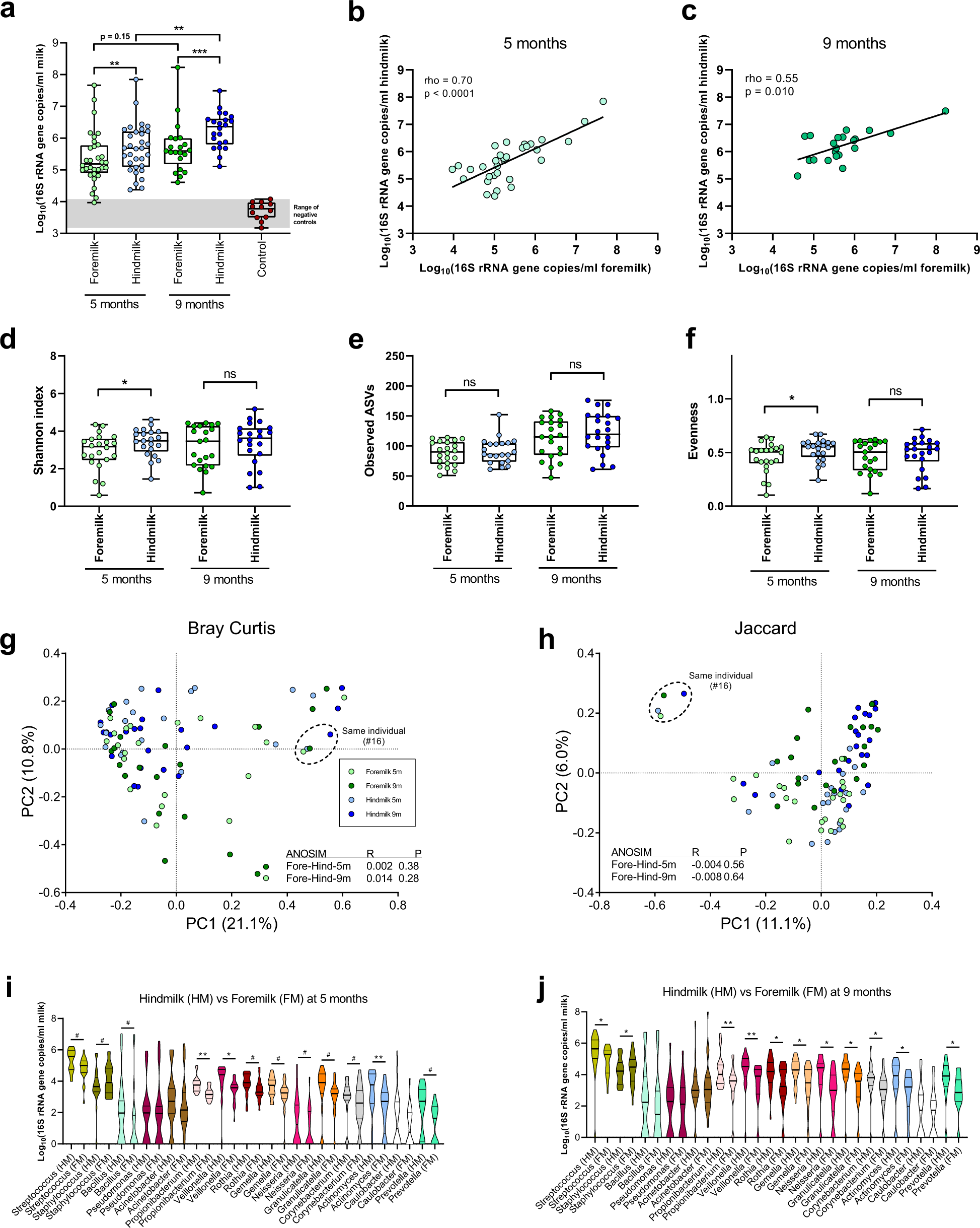 Fig. 1: Bacterial load, diversity, and composition in foremilk versus hindmilk.