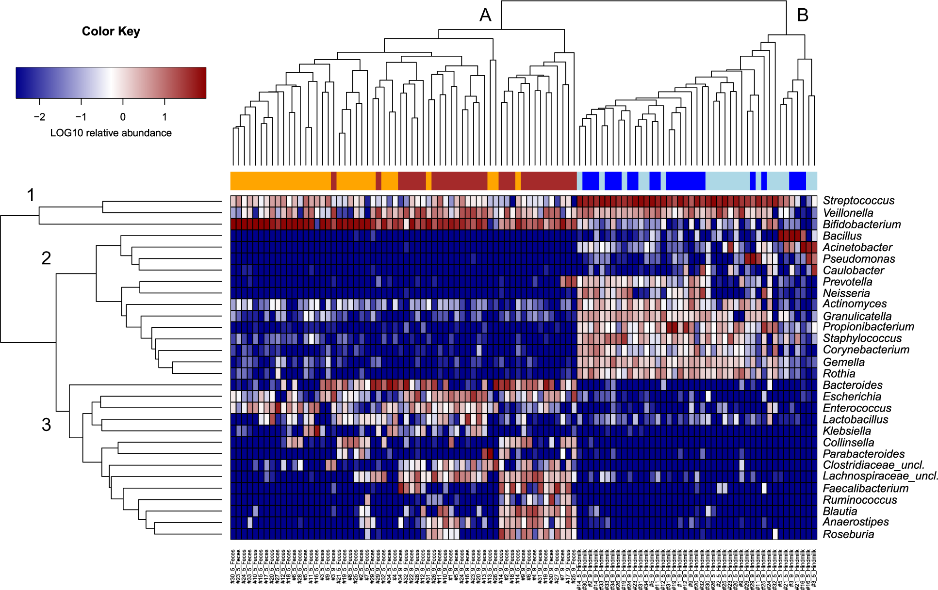 Fig. 3: Clustering of bacterial composition in hindmilk and infant’s feces.