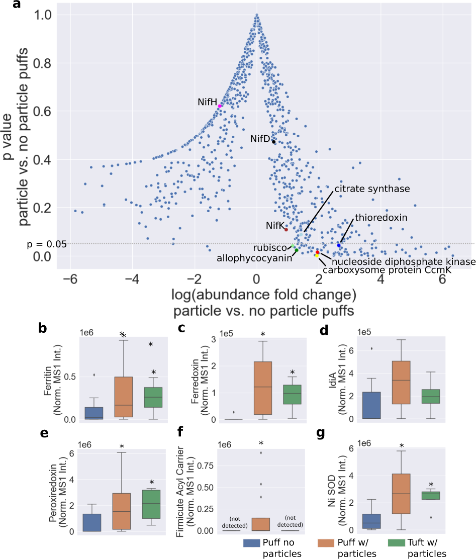 Fig. 3: Proteome responses in colonies with and without particle associations.