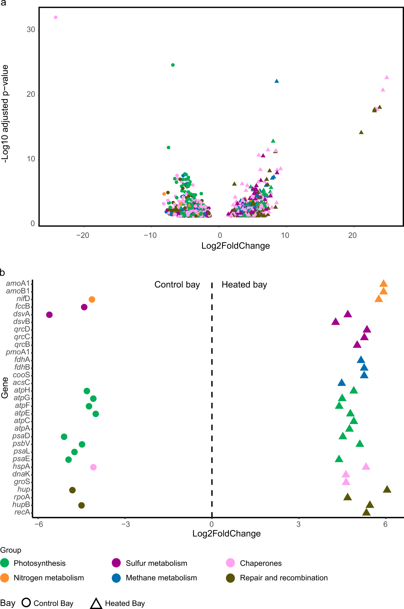 Fig. 5: Metabolic responses of differential expressed genes.