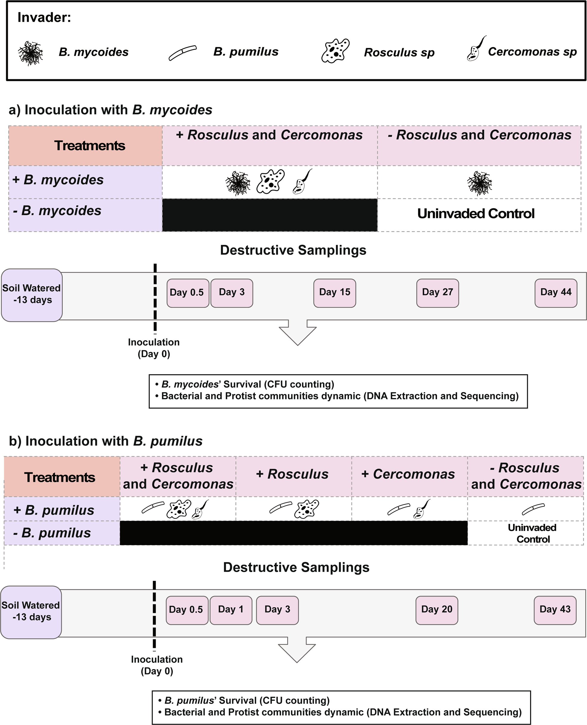 Protozoa Diversity Image, Image License