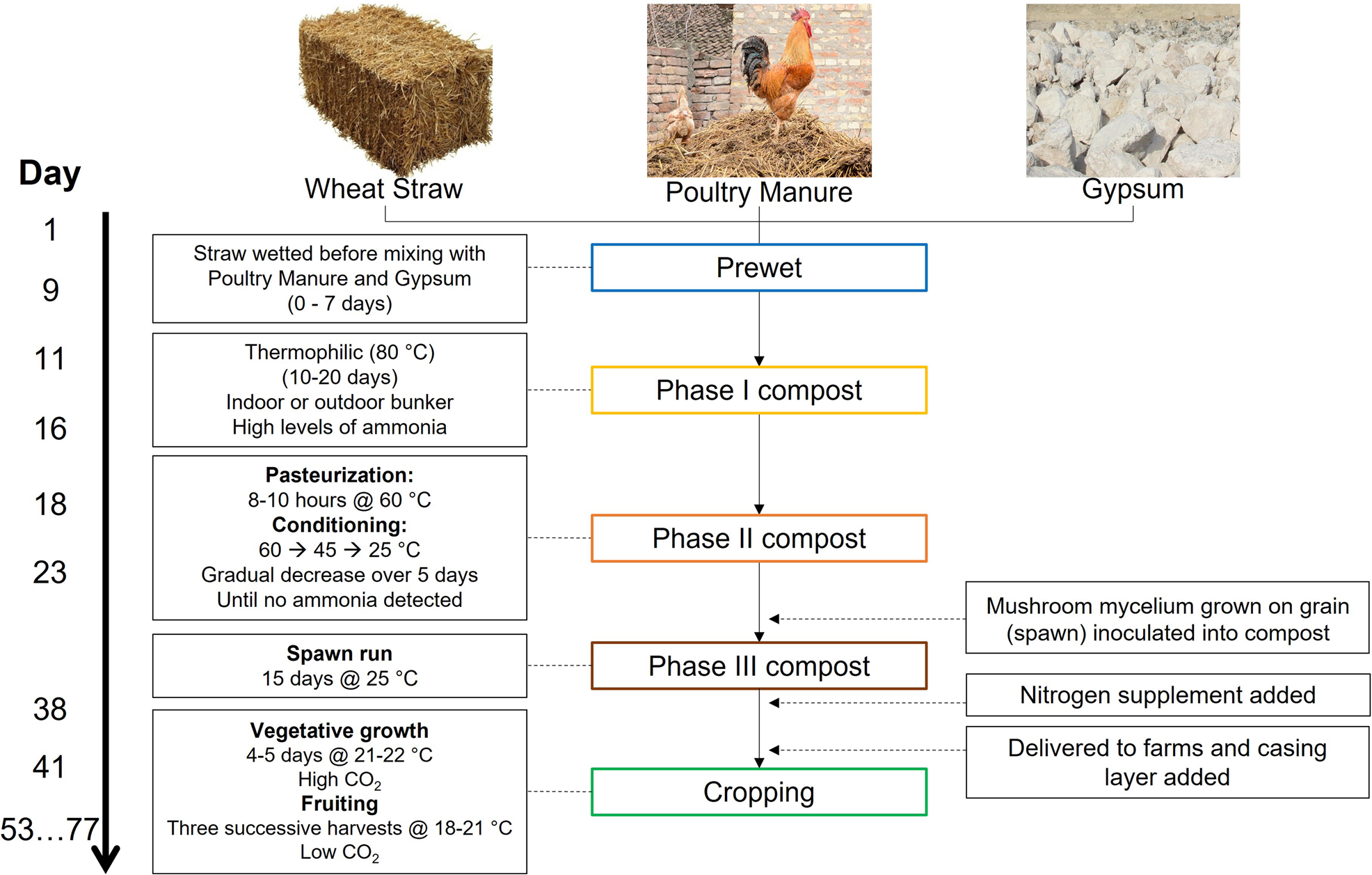 Dynamics of microbial community and enzyme activities during 