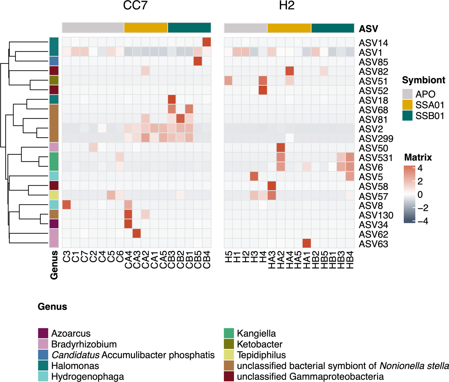 Fig. 5: Differential enrichment of denitrifier taxa across six host-symbiont combinations of Aiptasia.