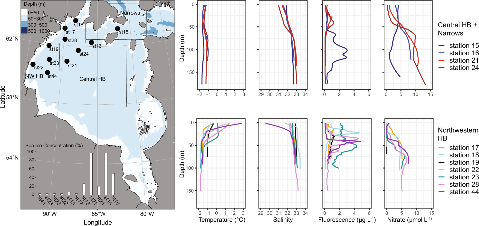 Contrasting sea ice conditions shape microbial food webs in Hudson Bay  (Canadian Arctic)