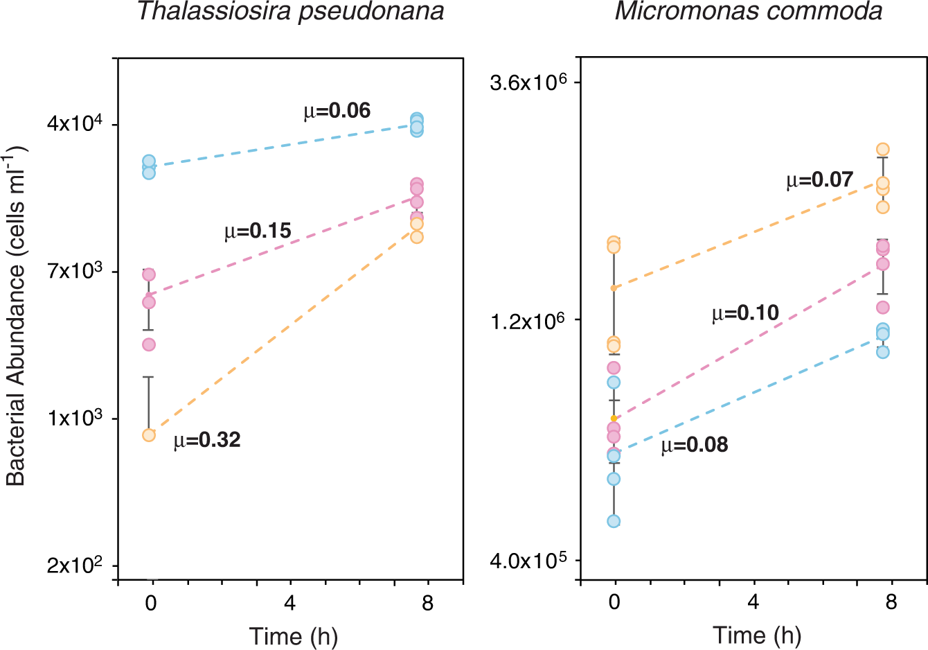 Fig. 3: Bacterial growth during 8 h incubations with microphytoplankter Thalassiosira pseudonana and picoeukaryotic phytoplankter Micromonas commoda.