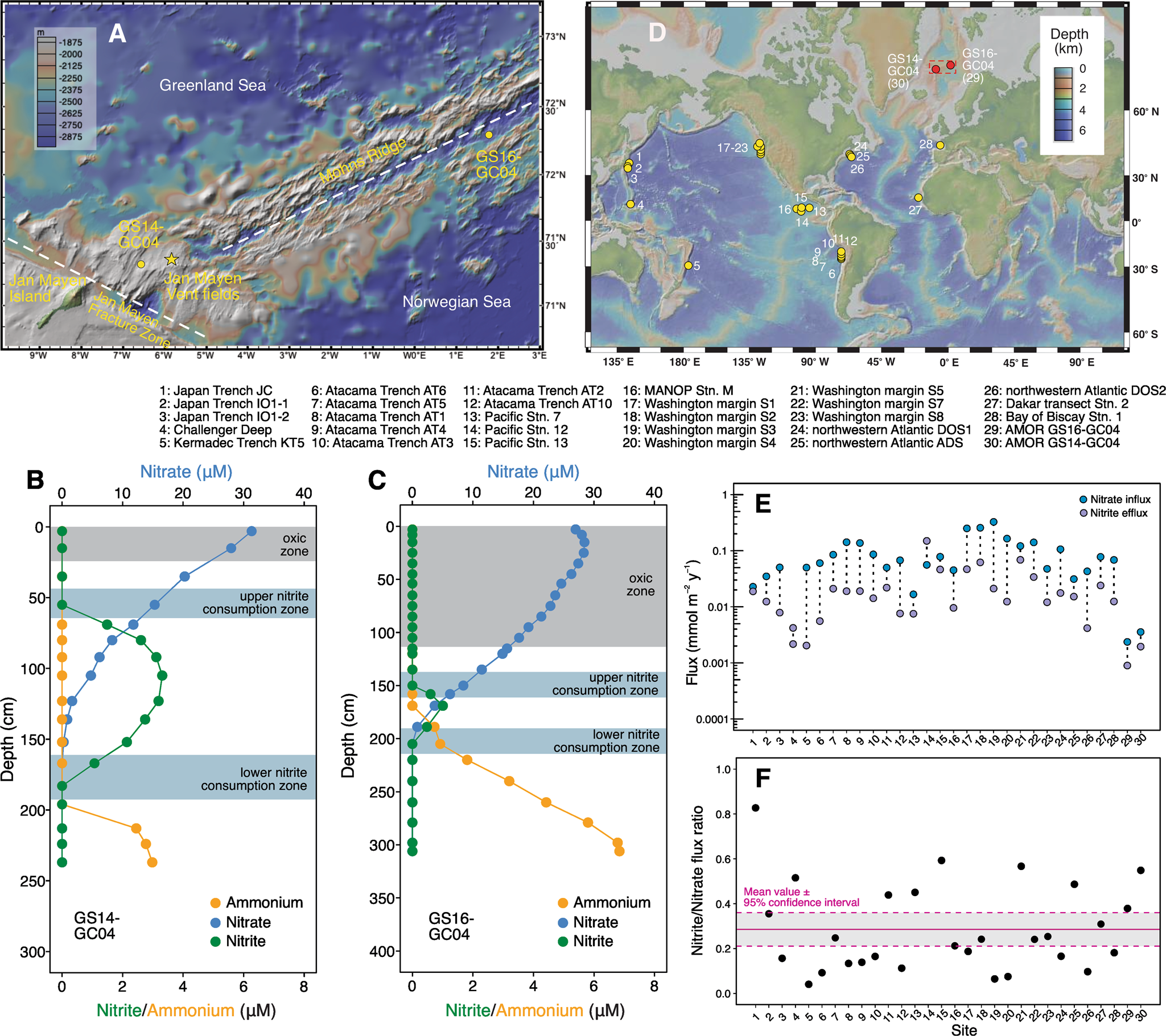 Nitrite accumulation and anammox bacterial niche partitioning in Arctic  Mid-Ocean Ridge sediments | ISME Communications