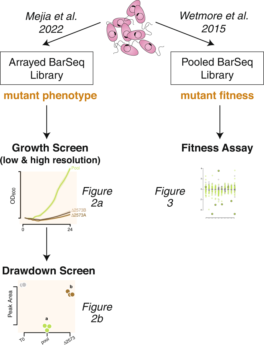 Functional annotation and importance of marine bacterial transporters of  plankton exometabolites | ISME Communications