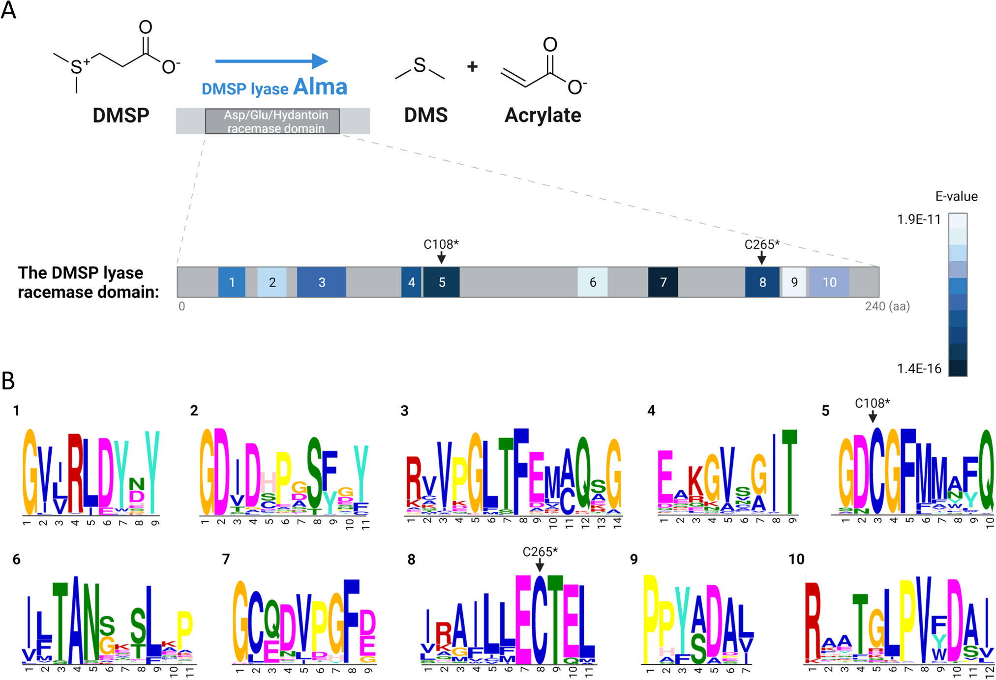 Fig. 1: Conserved domain and sequence motifs in the DMSP lyase (DL) protein.