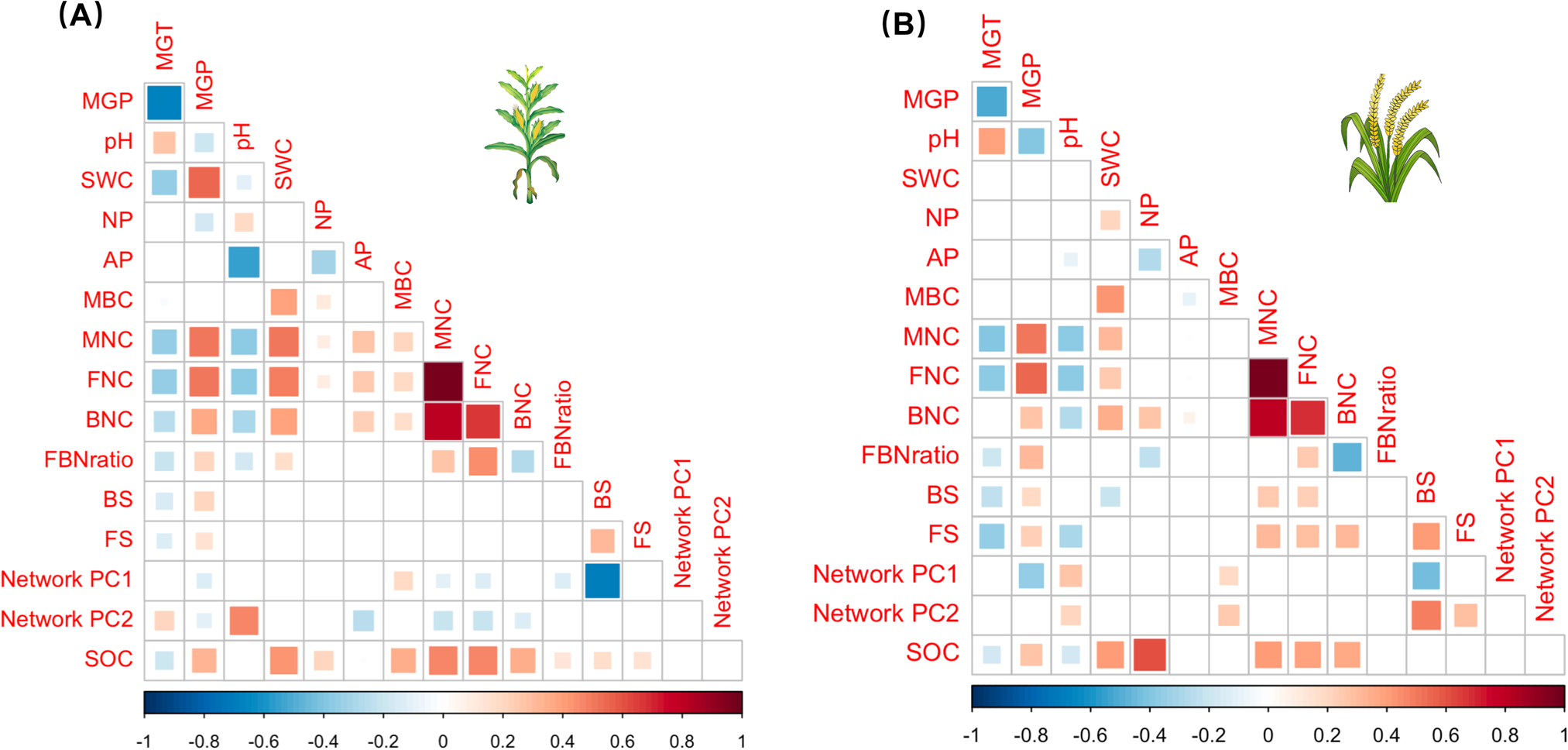 Fig. 4: Investigate the correlation between soil organic carbon and its predictors.
