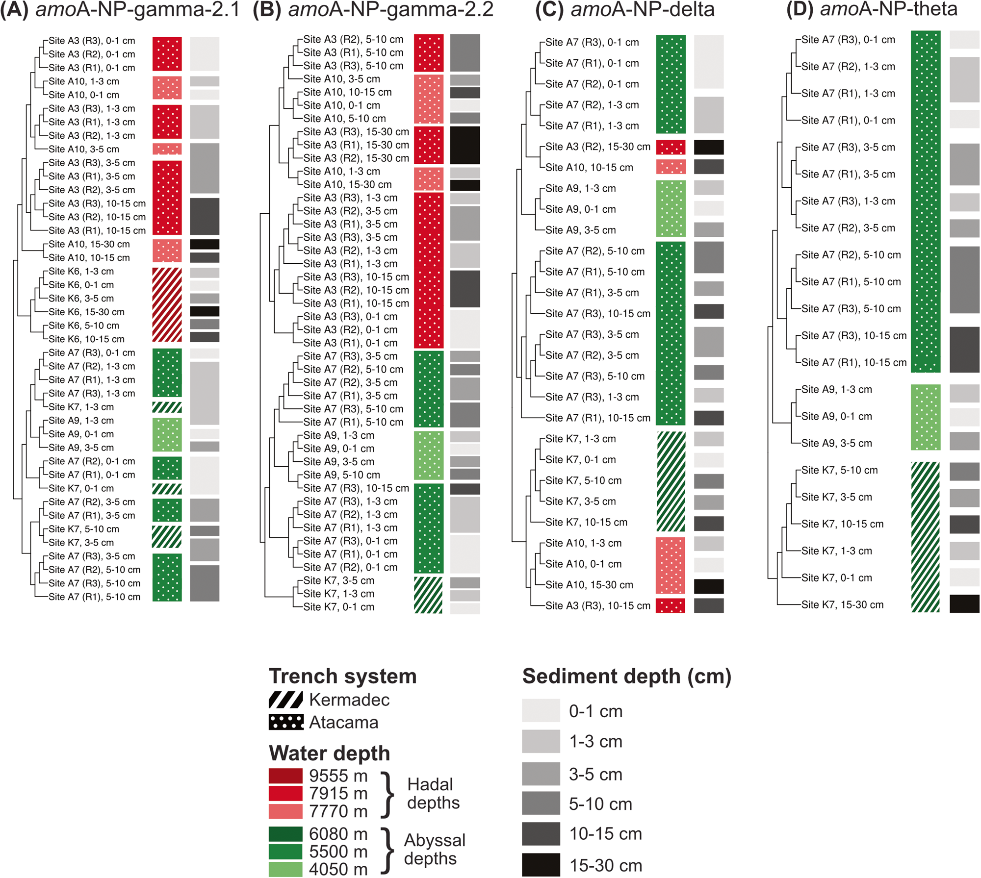 Fig. 3: Hierarchical clustering of samples based on the fixation index (FST) computed using nucleotide-level variability profiles for clade representatives.
