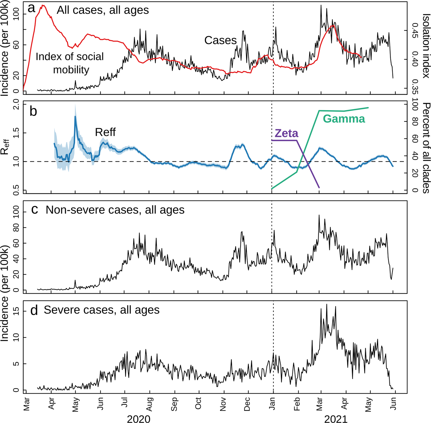 Fig. 5: COVID-19 incidence per 100,000 inhabitants from March 2020 to June 2021 in São José do Rio Preto, Brazil.