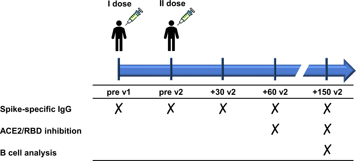 B cell response after SARS-CoV-2 mRNA vaccination in people living with HIV  | Communications Medicine