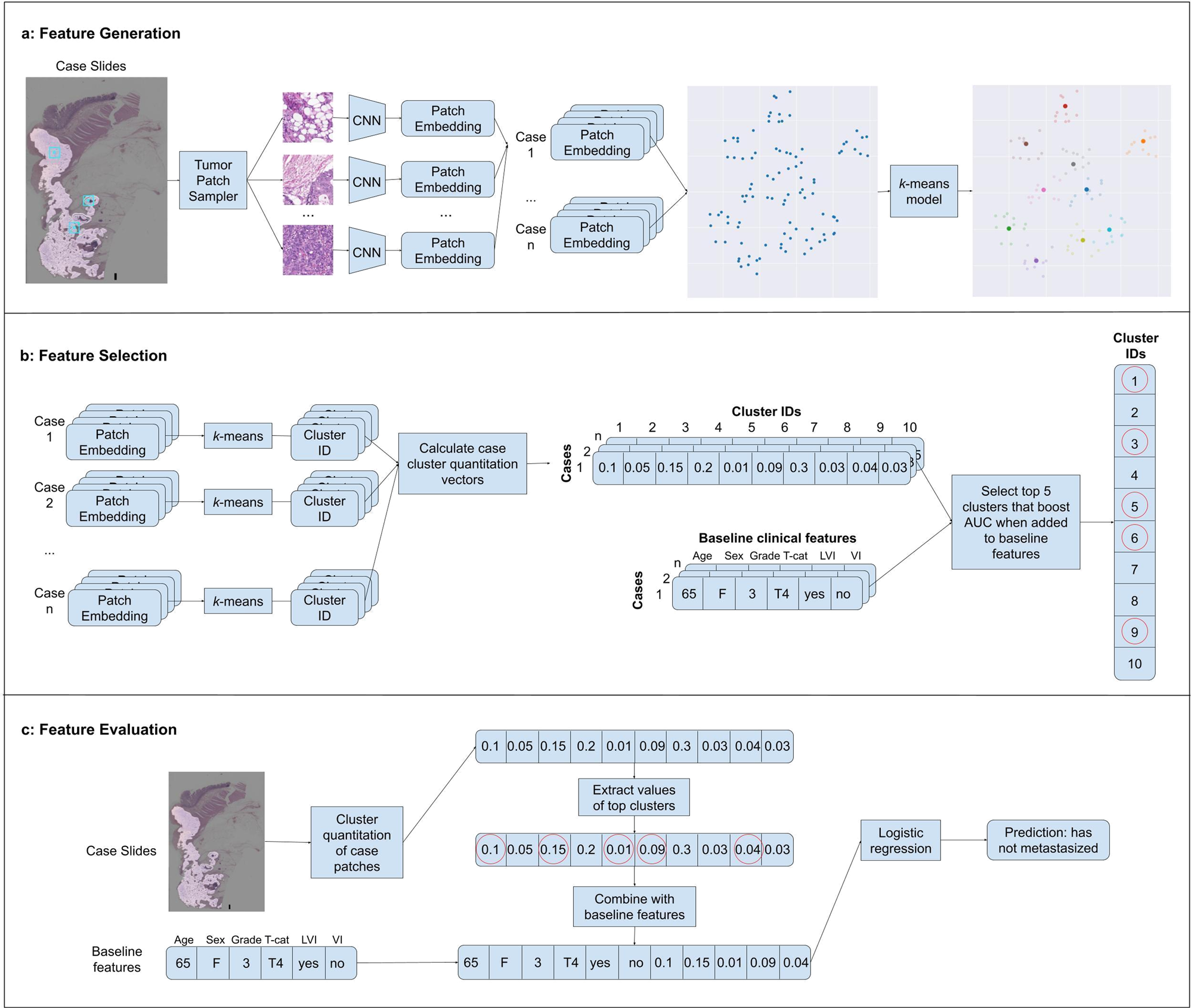 Fig. 1: Overview of model development.