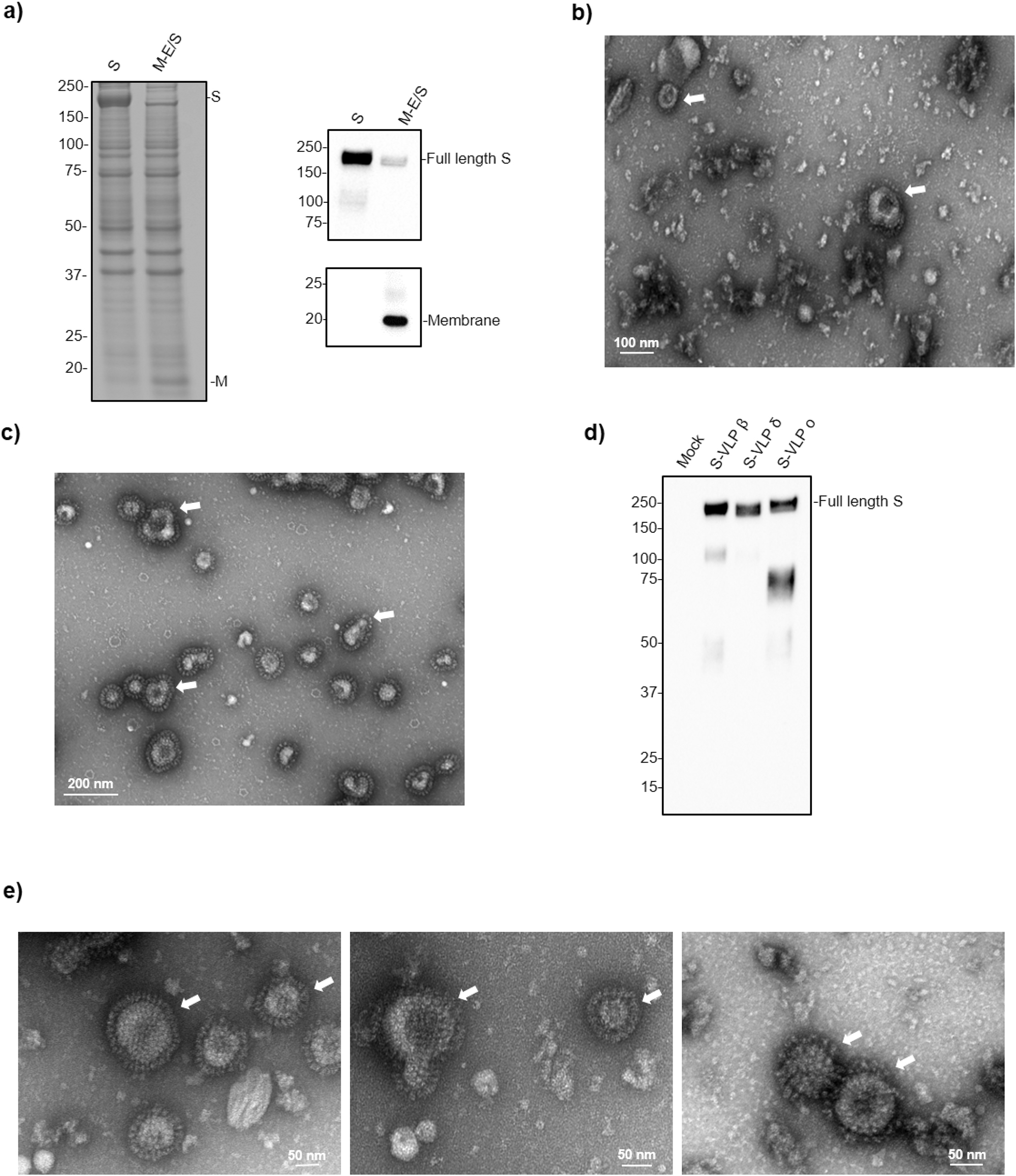 Elektromagnetisches Antifrost Elektromagnetische Molekulare