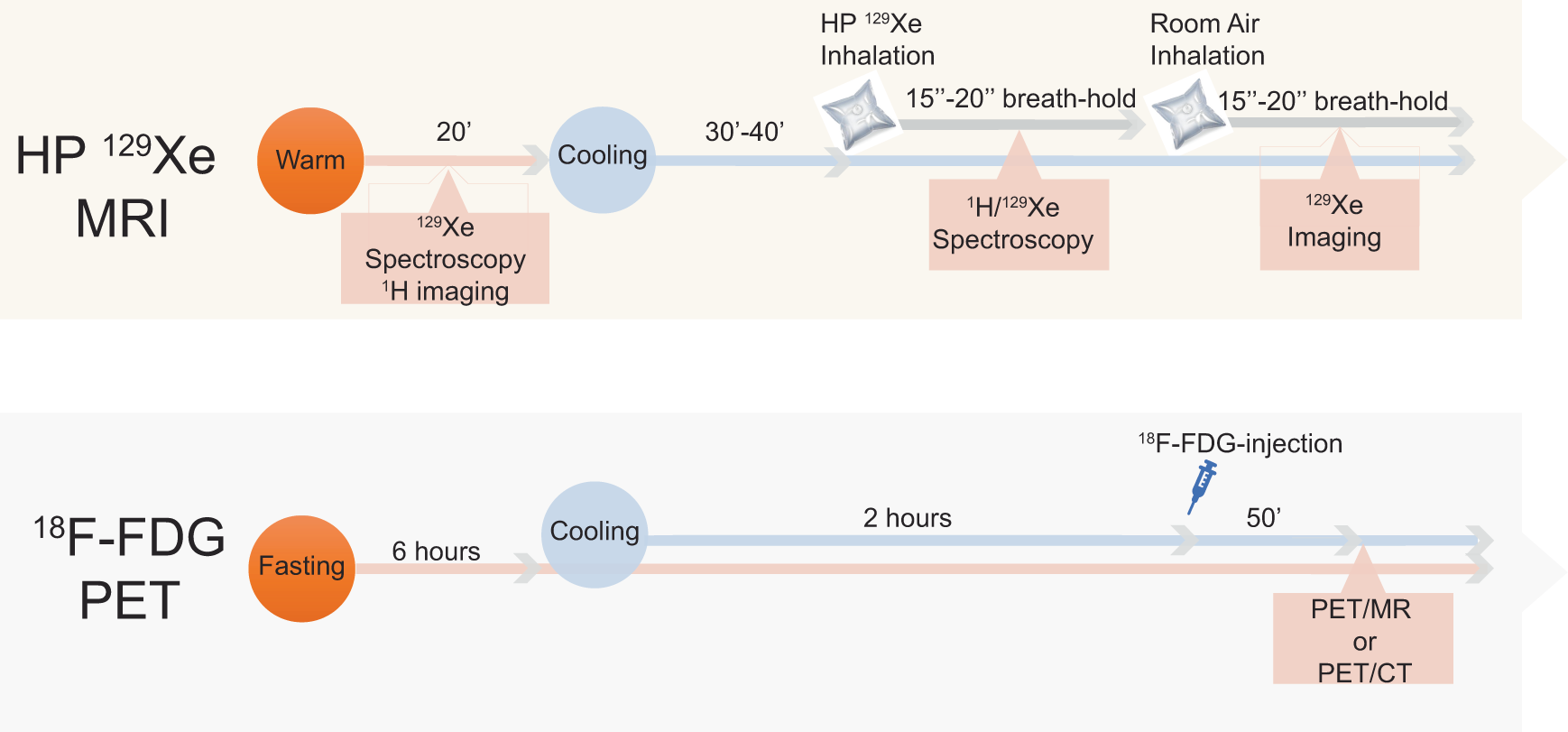 Fig. 2: Flow chart of the human study protocol used in this study.