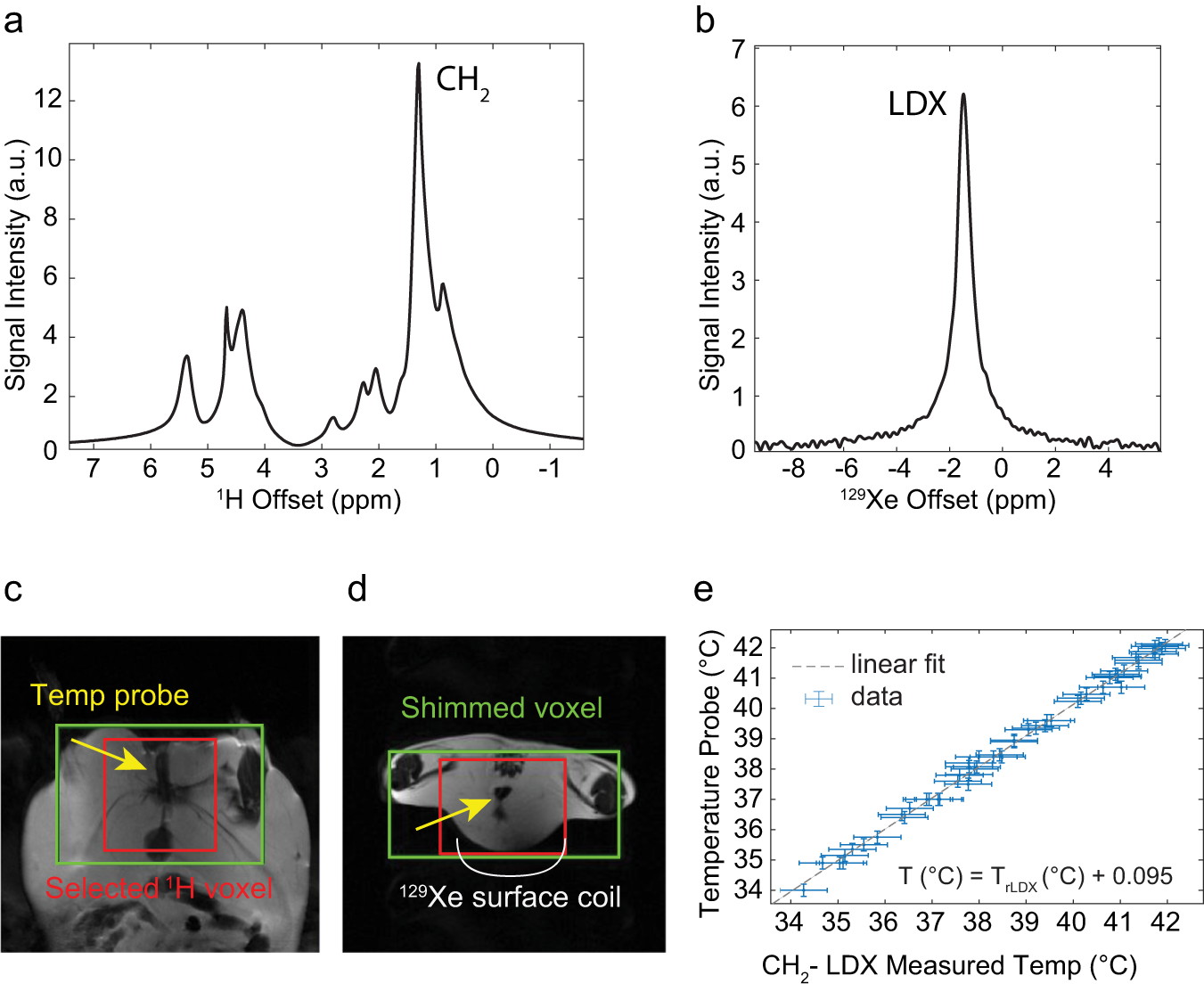 Fig. 4: Hyperpolarized 129Xe MR thermometry in mice.