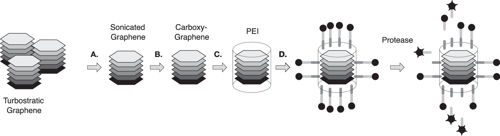 Fig. 1: Assembly and activation of biosensors.