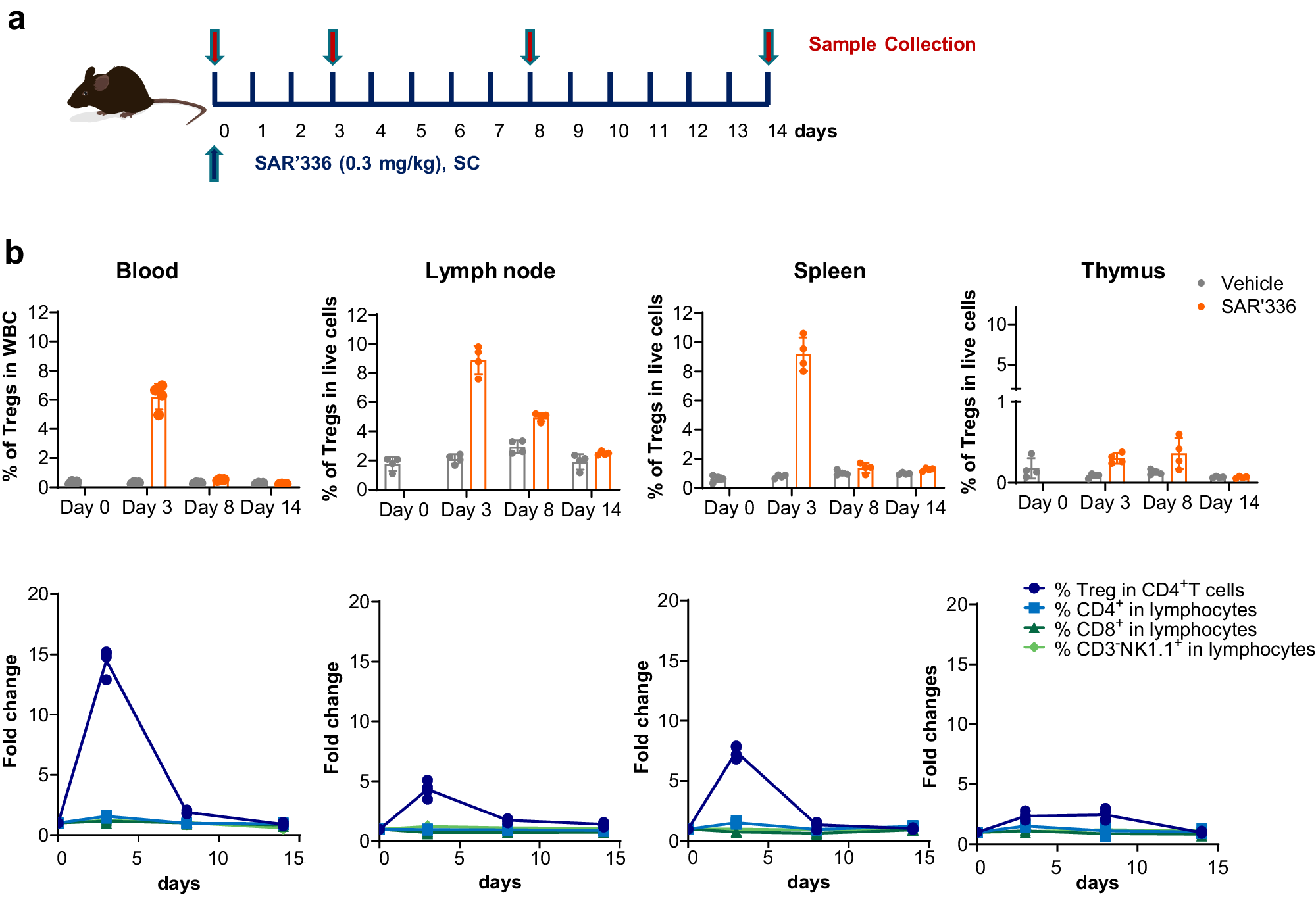 Fig. 7: SAR’336 induces Treg expansion in the blood and lymphoid organs in mice.