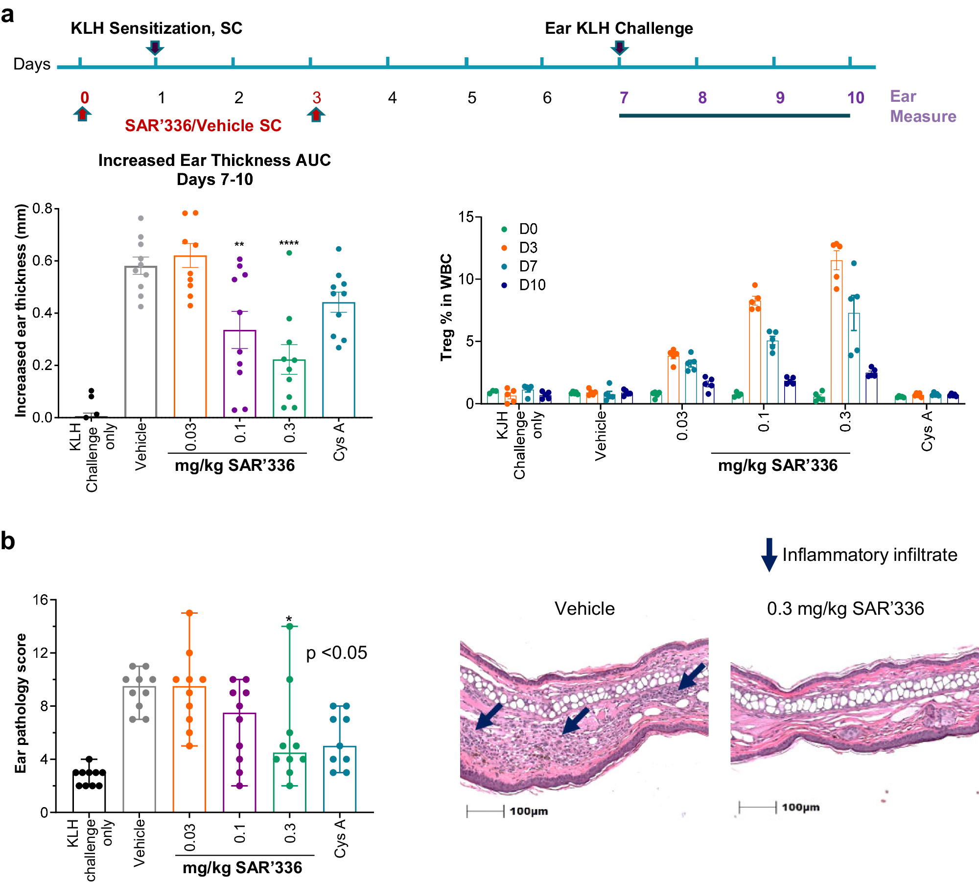 Fig. 8: SAR’336 reduces inflammation in a mouse DTH model.