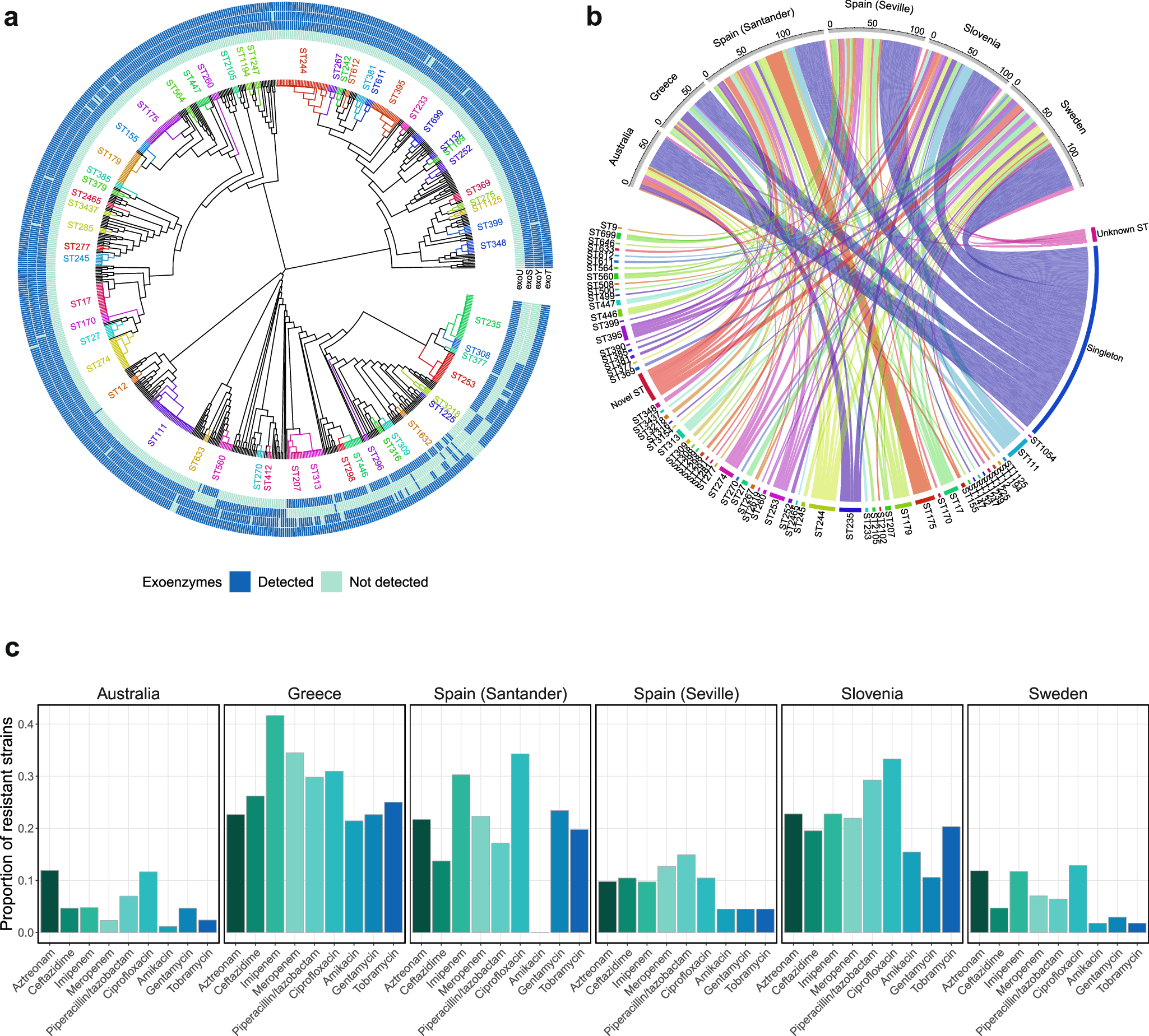 Fig. 3: The evolutionary relationships and geographical distribution among P. aeruginosa bloodstream infection isolates.