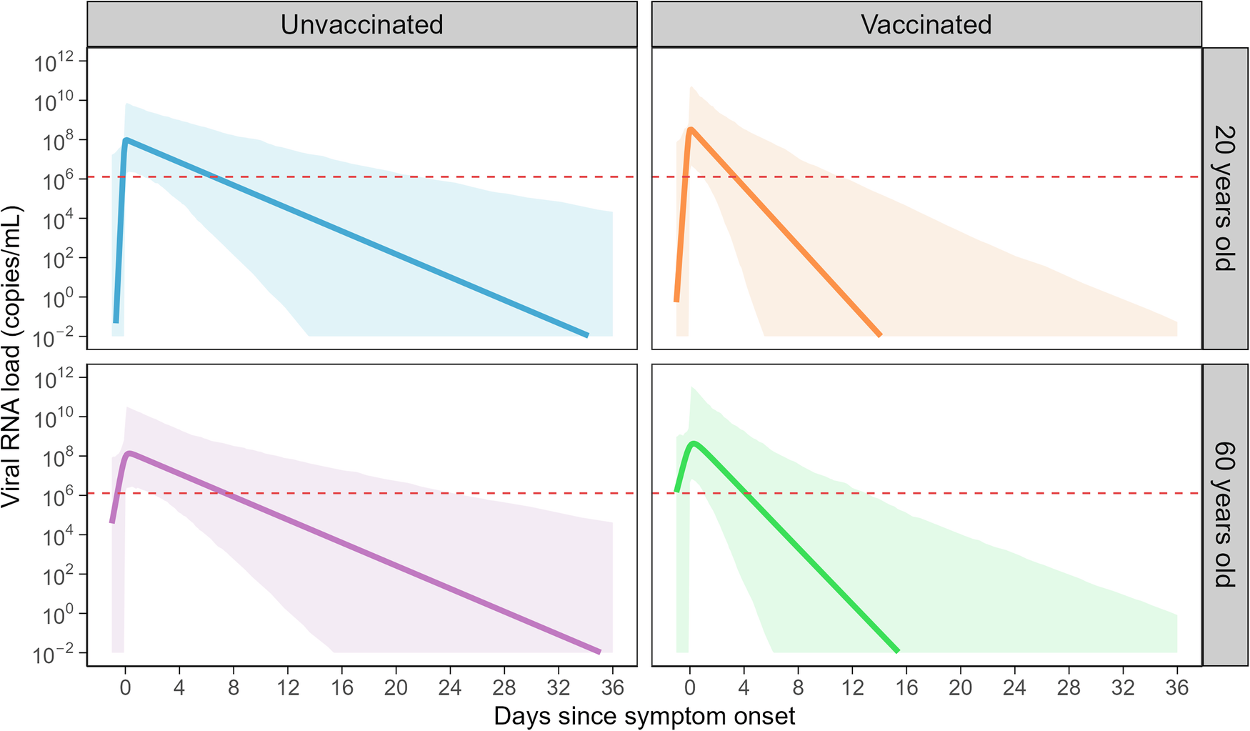 Fig. 2: Estimated viral load curves for symptomatic SARS-CoV-2 Delta patients with different age and vaccination status.