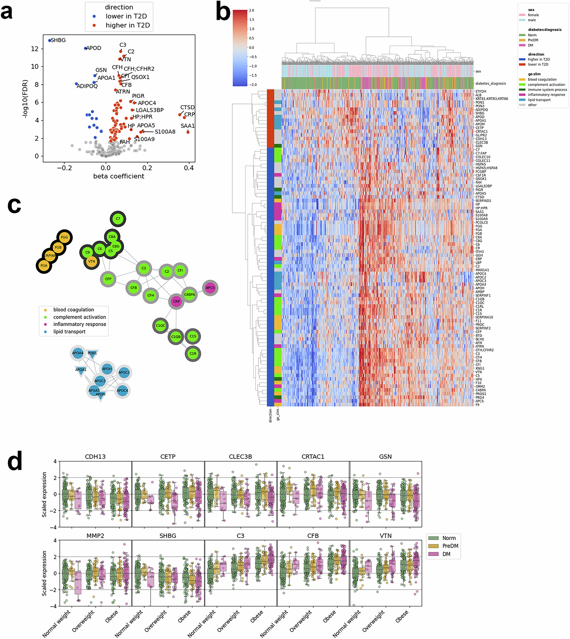 Fig. 1: Differentially expressed proteins between diabetic and normoglycemic participants.