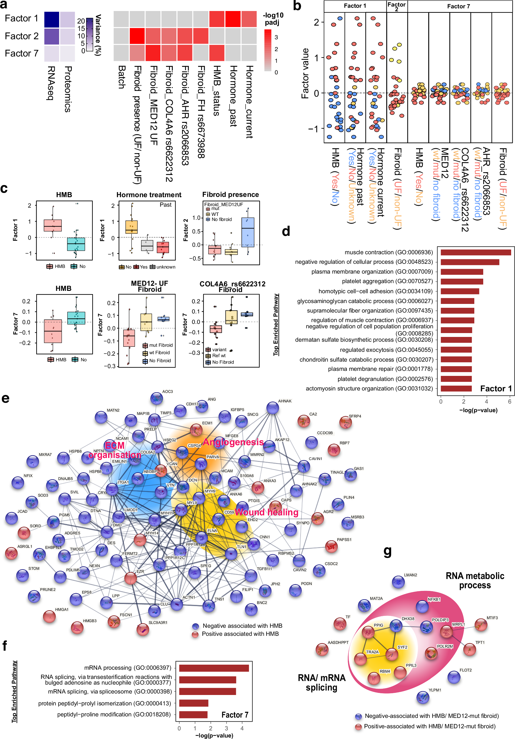 Fig. 2: Integrated analysis of endometrium using multi-omics, including transcriptomics, proteomics, and targeted genomic sequencing.