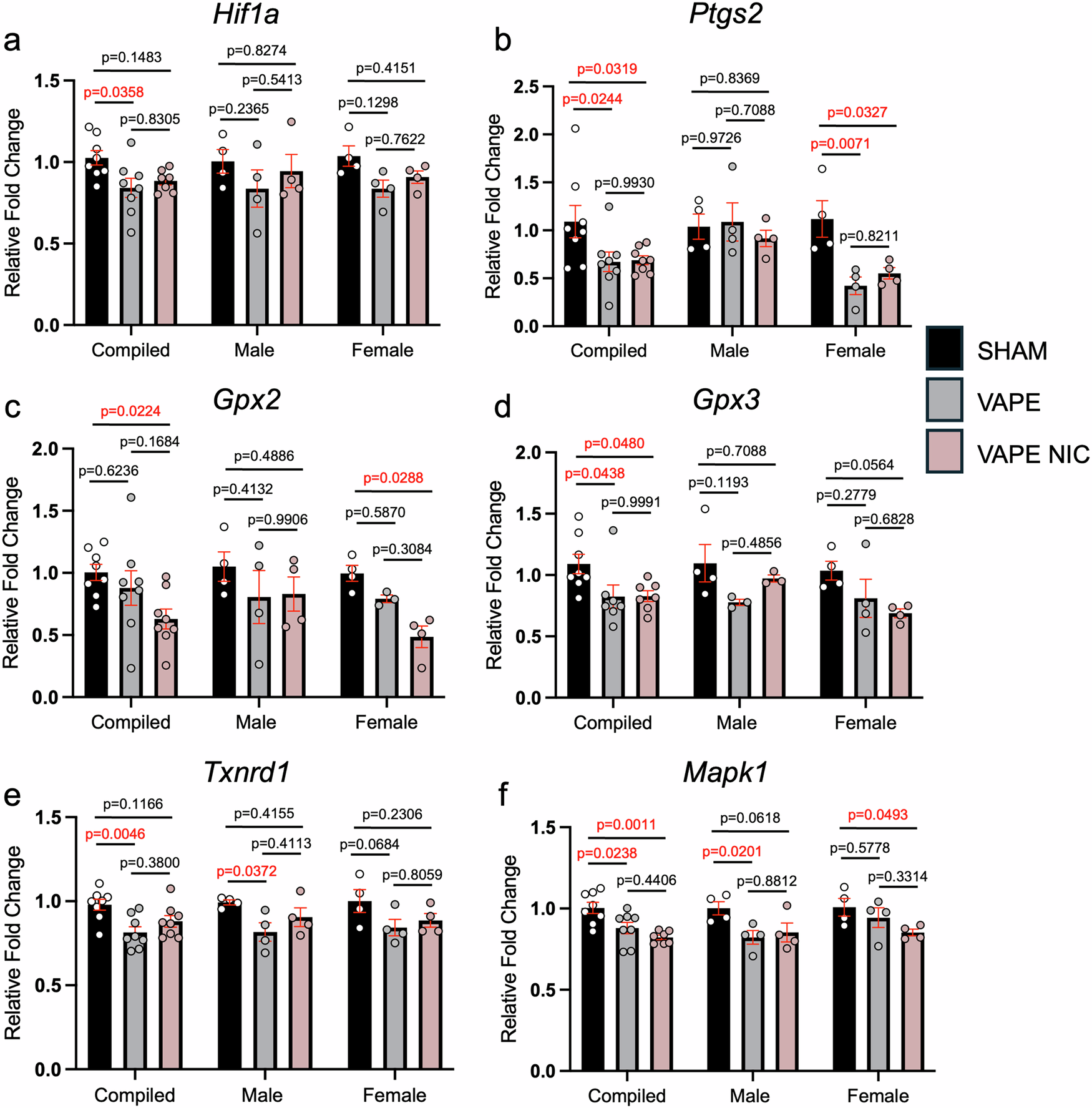 Fig. 3: E-cigarettes elicit differential gene expression dependent on fetal sex.