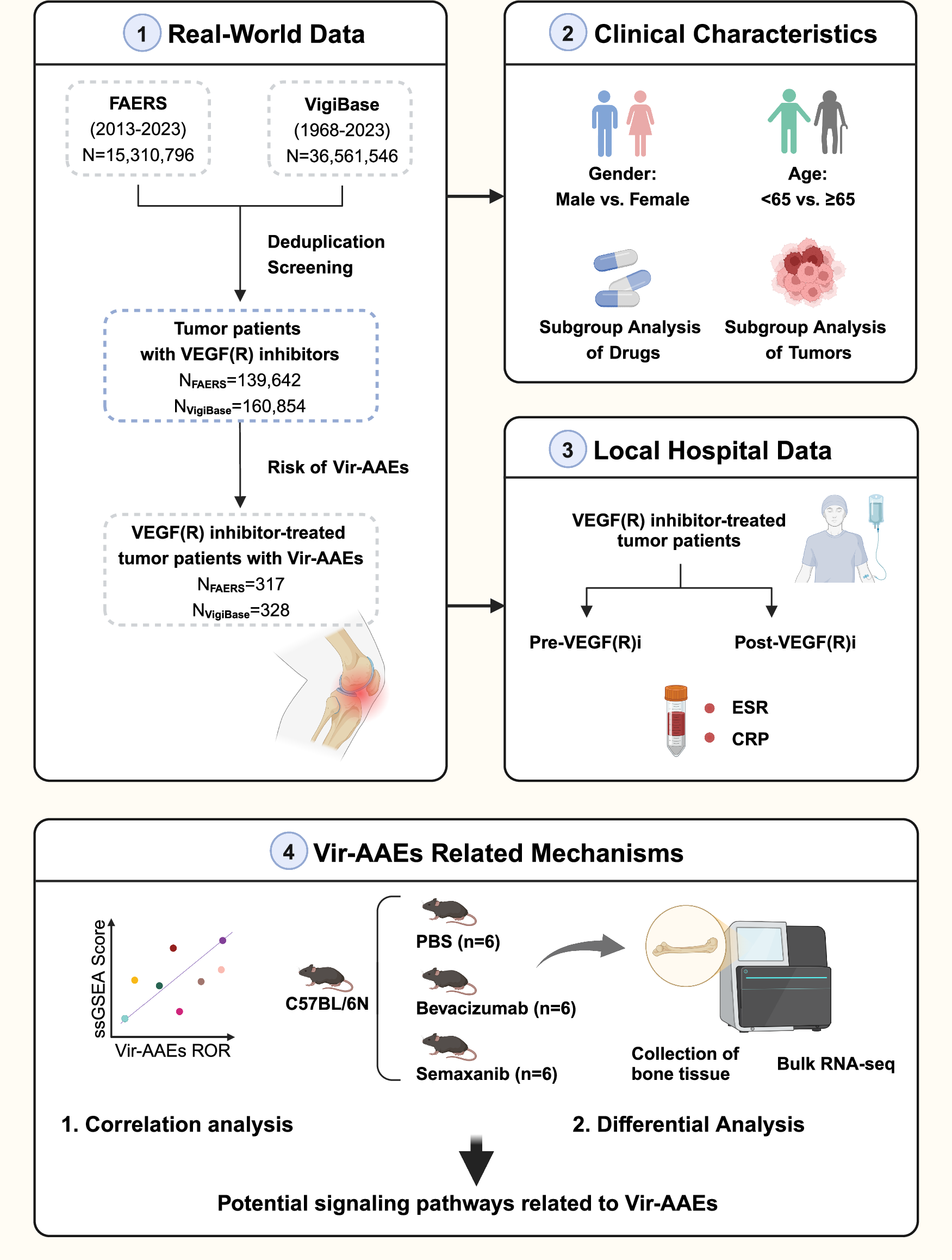 Insights from pharmacovigilance databases, clinical cohorts and preclinical  models into VEGF(R) inhibitor-induced arthritis in cancer | Communications  Medicine