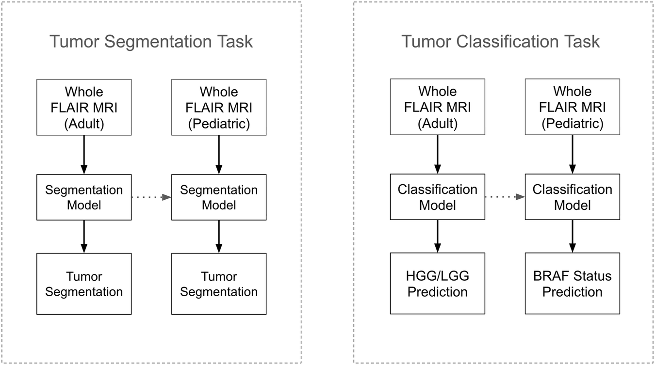 Fig. 2: Depiction of BraTS TL regimen for the segmentation (left) and classification (right) tasks.