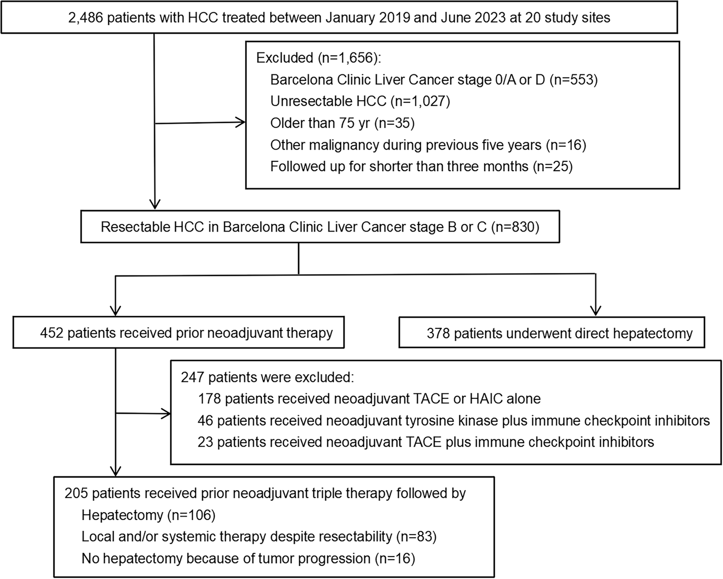 Fig. 1: Flowchart of patient selection and analysis.