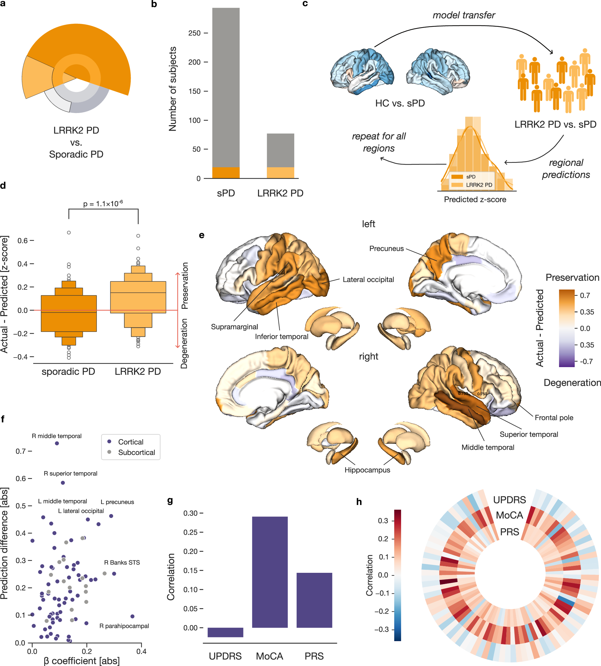 Fig. 3: Parkinson’s patients with LRRK2 pathogenic variants show a milder form of brain atrophy.