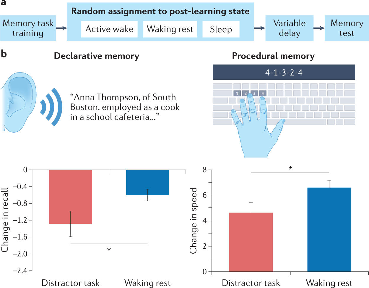 Offline memory consolidation during waking rest