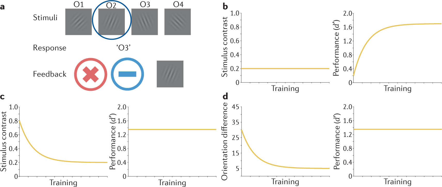 Current directions in visual perceptual learning | Nature Reviews Psychology