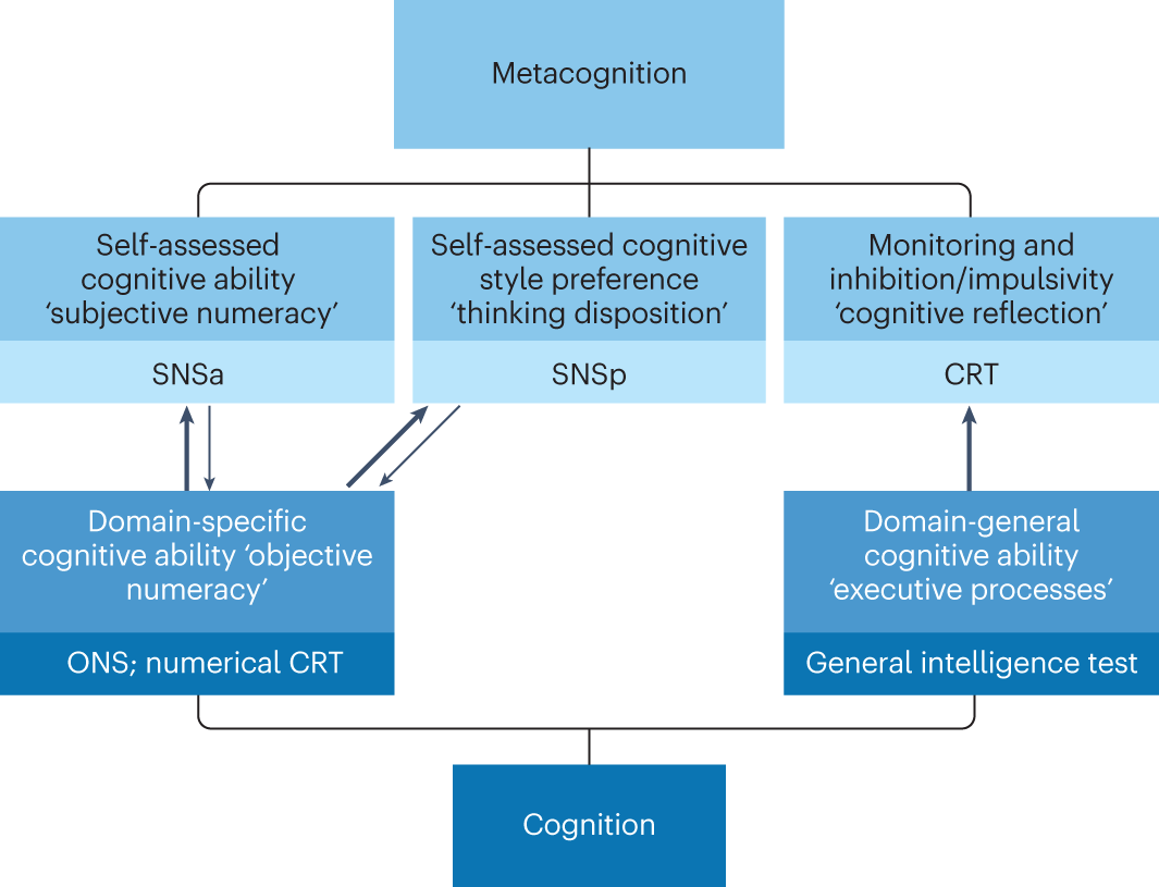 Words Lolling and Rise are semantically related or have opposite meaning