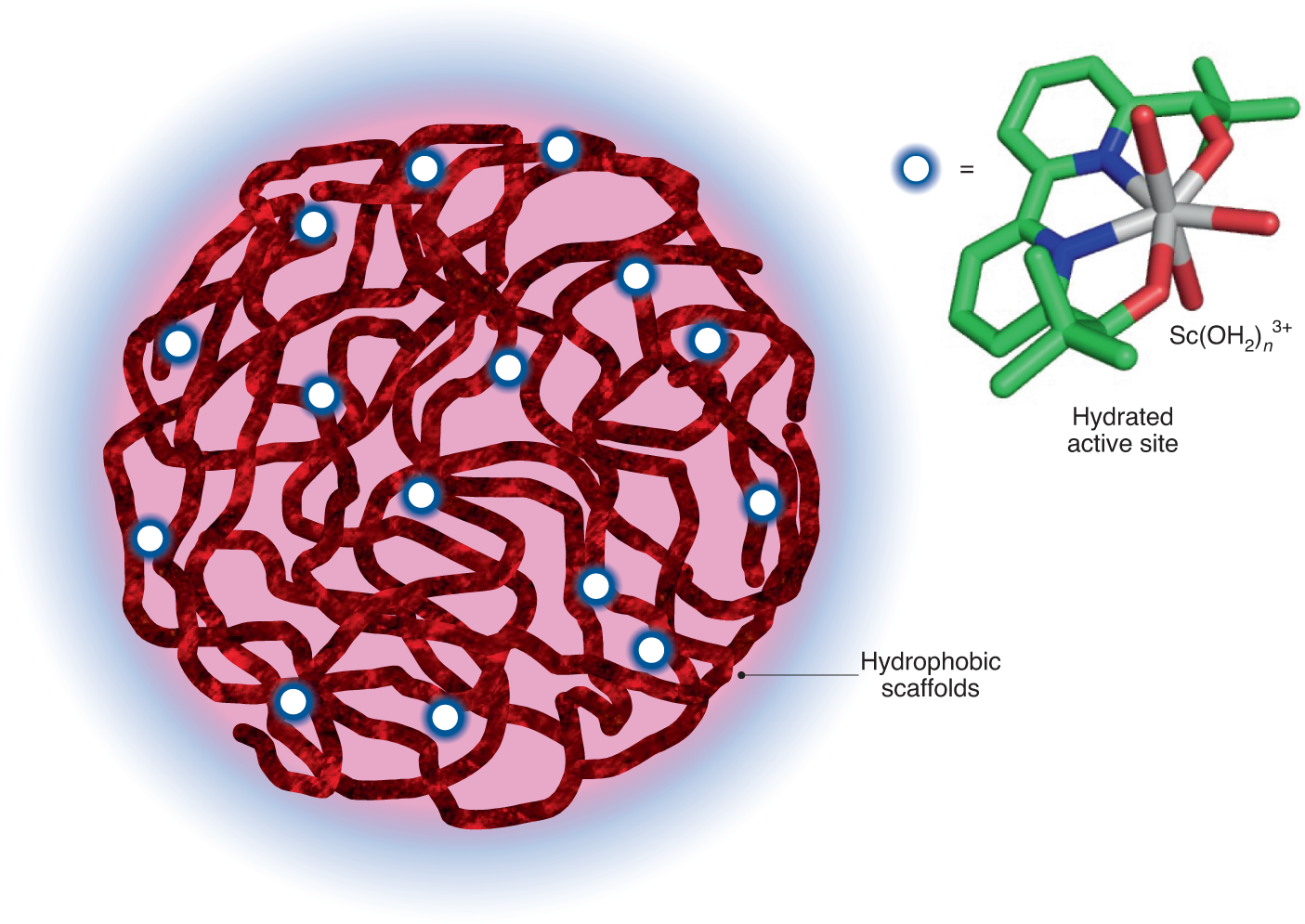 dihexa hydrophobic A hydrophobic pocket