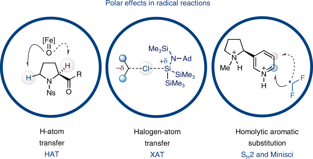Radical Professional Polarizing Trinocular Geology Mineralogy Microscope -10Mp USB Camera 並行輸入品 Advanced Research Polarizing Microscope - Industrial Research