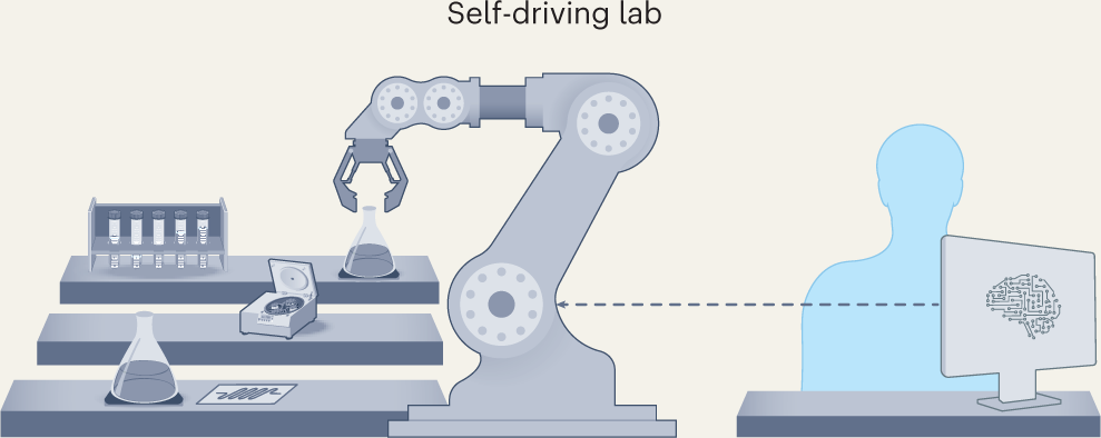 The rise of self-driving labs in chemical and materials sciences 