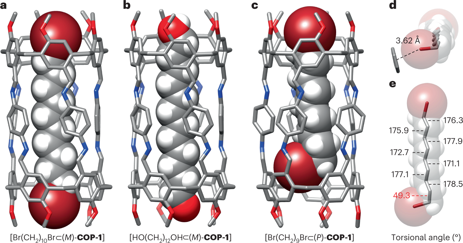 Fig. 4: Threading of the COP-1 nanotube by α,ω-disubstituted n-alkanes.