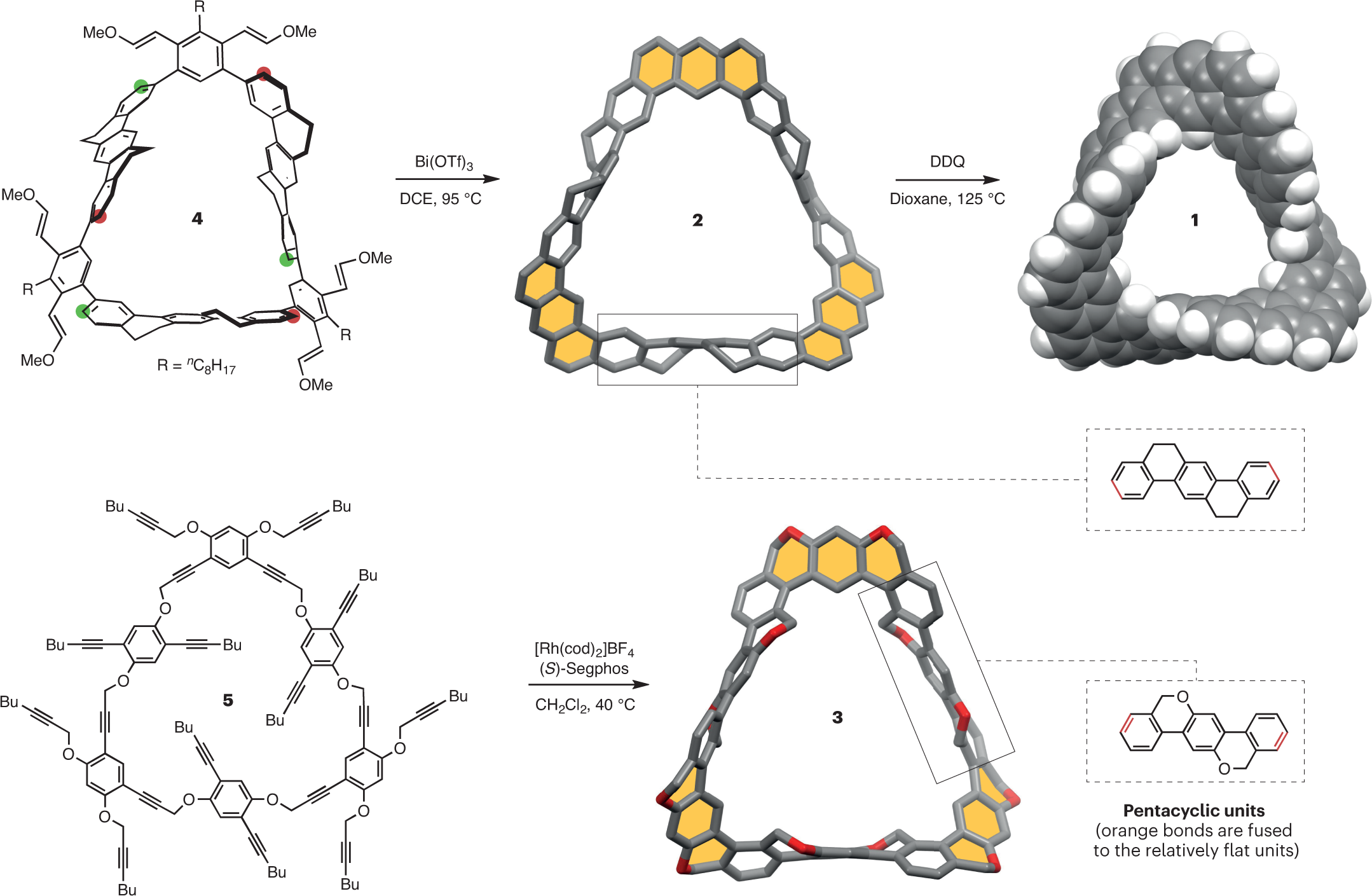 Paradromic molecules | Nature Synthesis