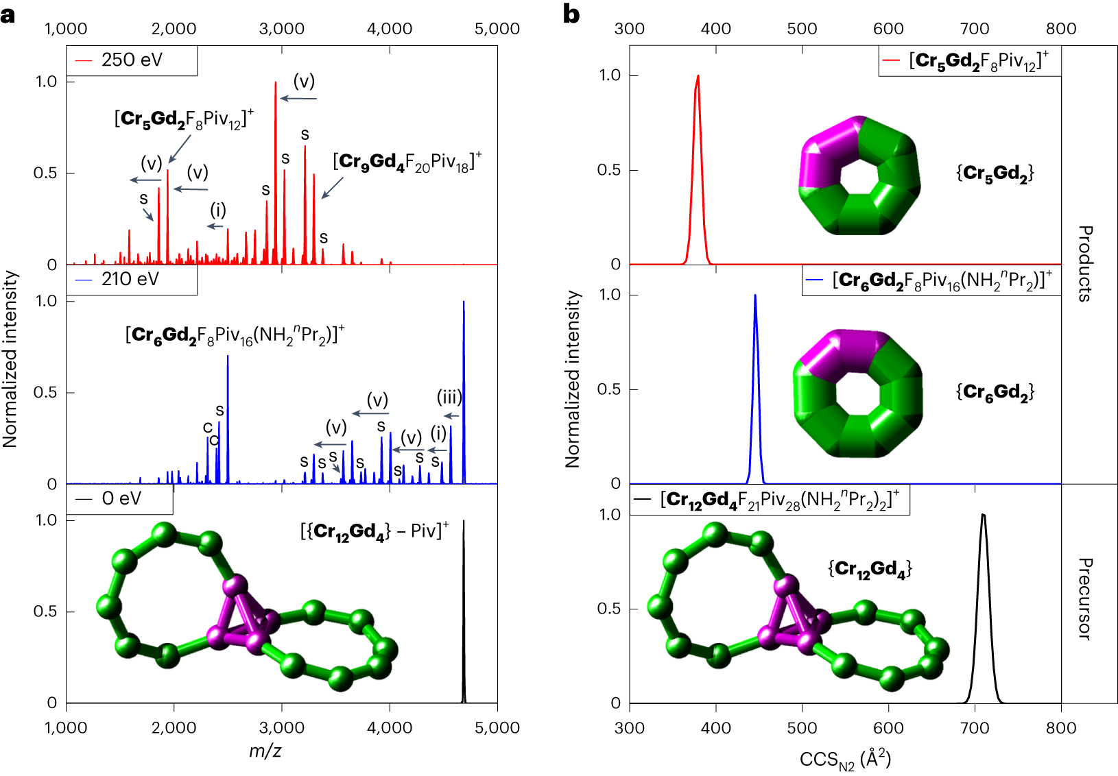 Fig. 4: Tandem mass spectra of [{Cr12Gd4} – Piv]+ at different collision energies and CCSN2 distributions of [{Cr12Gd4} – Piv]+ and fragment ions.