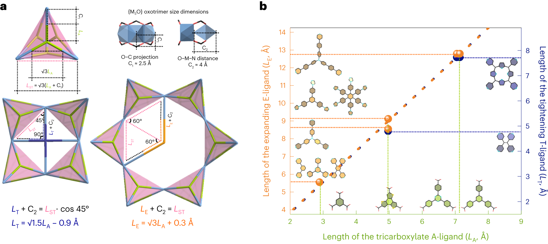 Fig. 3: Geometry relations between sizes of ligands.