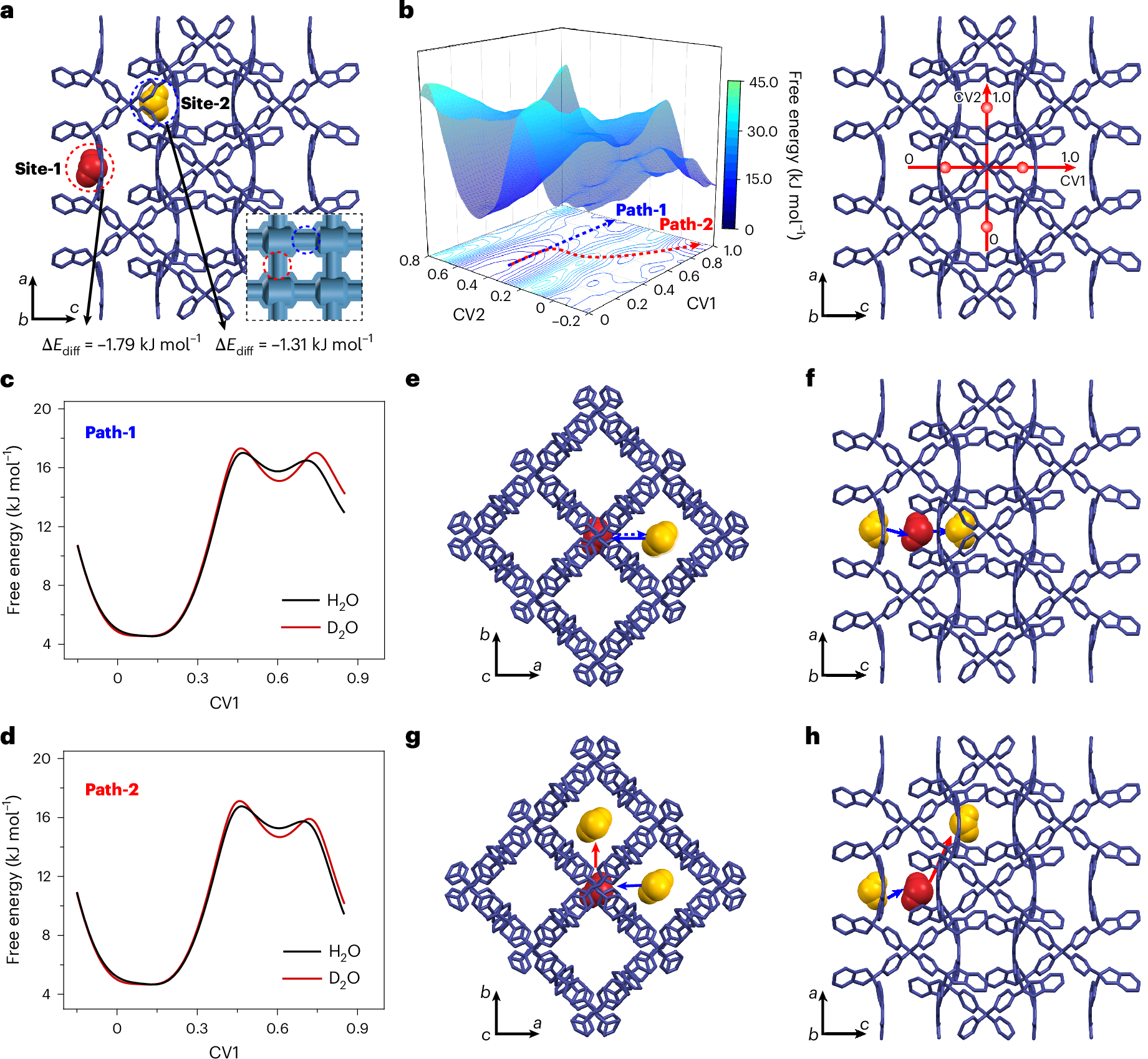Fig. 4: Computational investigation of the D2O/H2O separation mechanism of PWPN-1a.