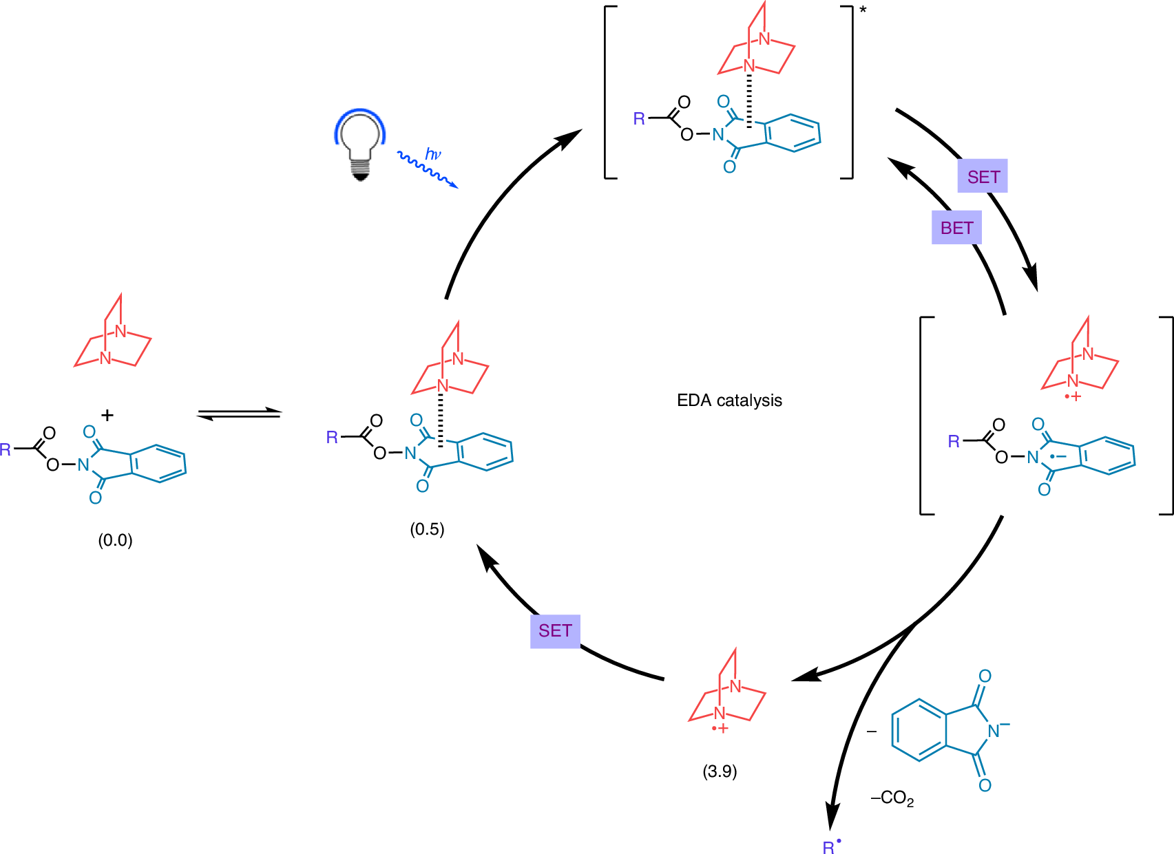 Fig. 4: Catalytic cycle for EDA complex formation and radical generation.
