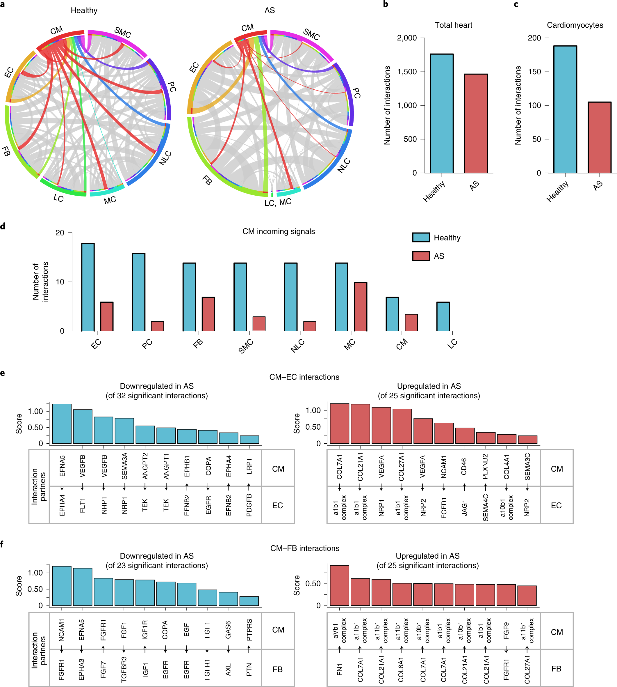 Fig. 2: Disturbed intercellular crosstalk in hypertrophied hearts.