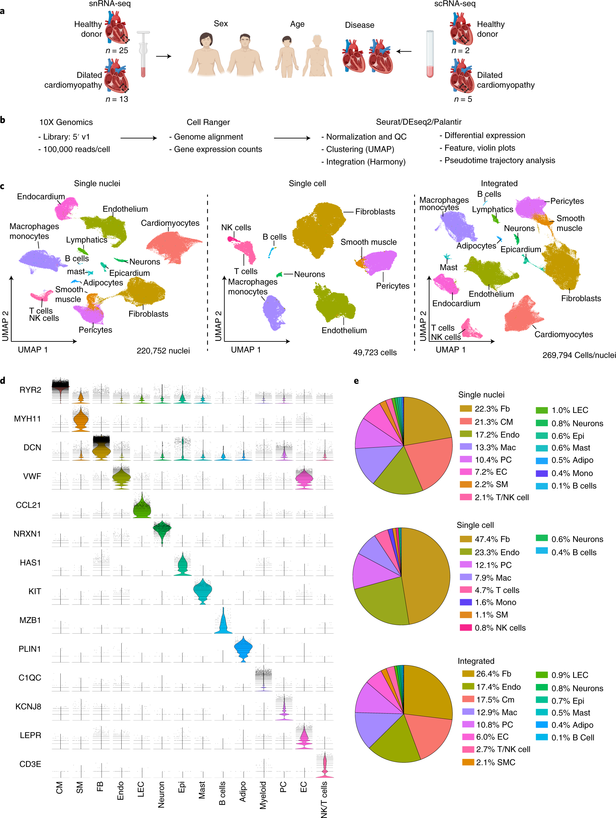 Single-nucleus RNA and ATAC sequencing reveals the impact of