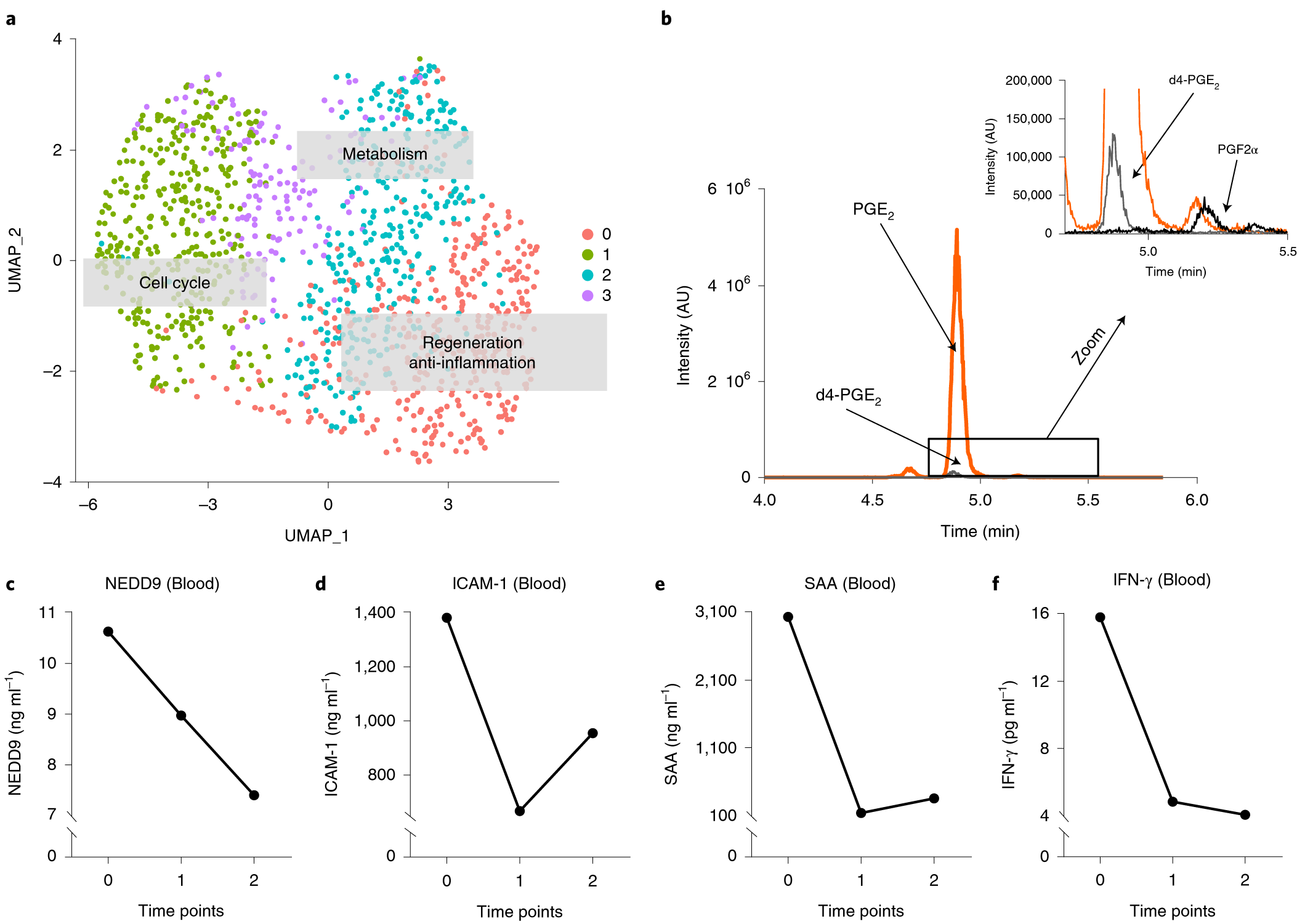 Fig. 2: scRNA-seq of HUCMSCs reveals four MSC clusters and a transcriptome enhanced for regeneration, anti-inflammation, cell cycle and metabolism.