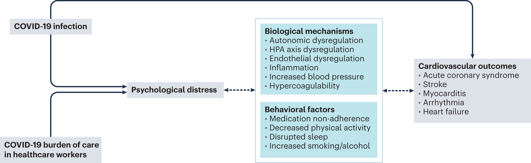 COVID-19 and the amplification of cardiovascular risk by