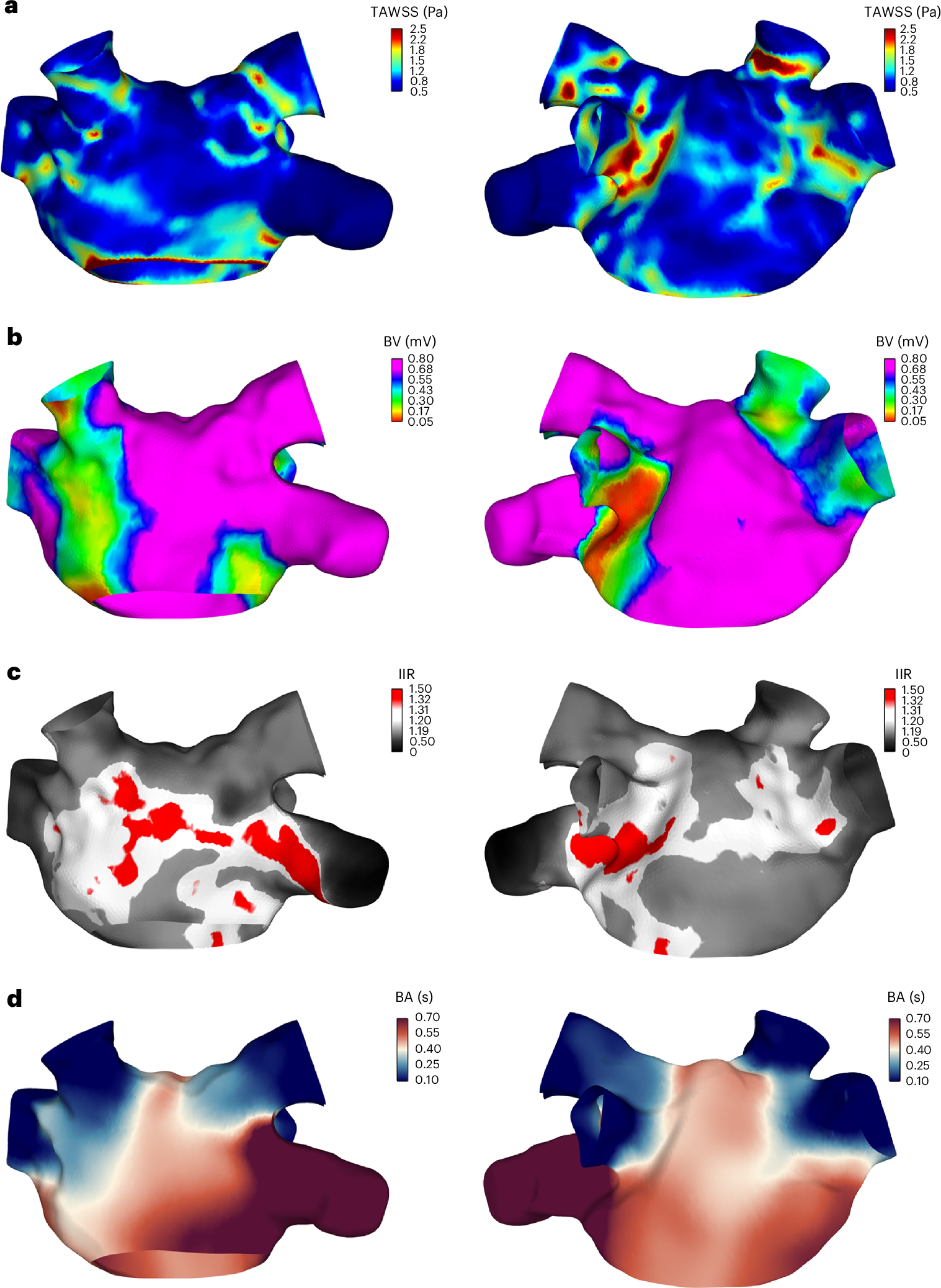 Fig. 3: Three-dimensional results in an exemplary case.
